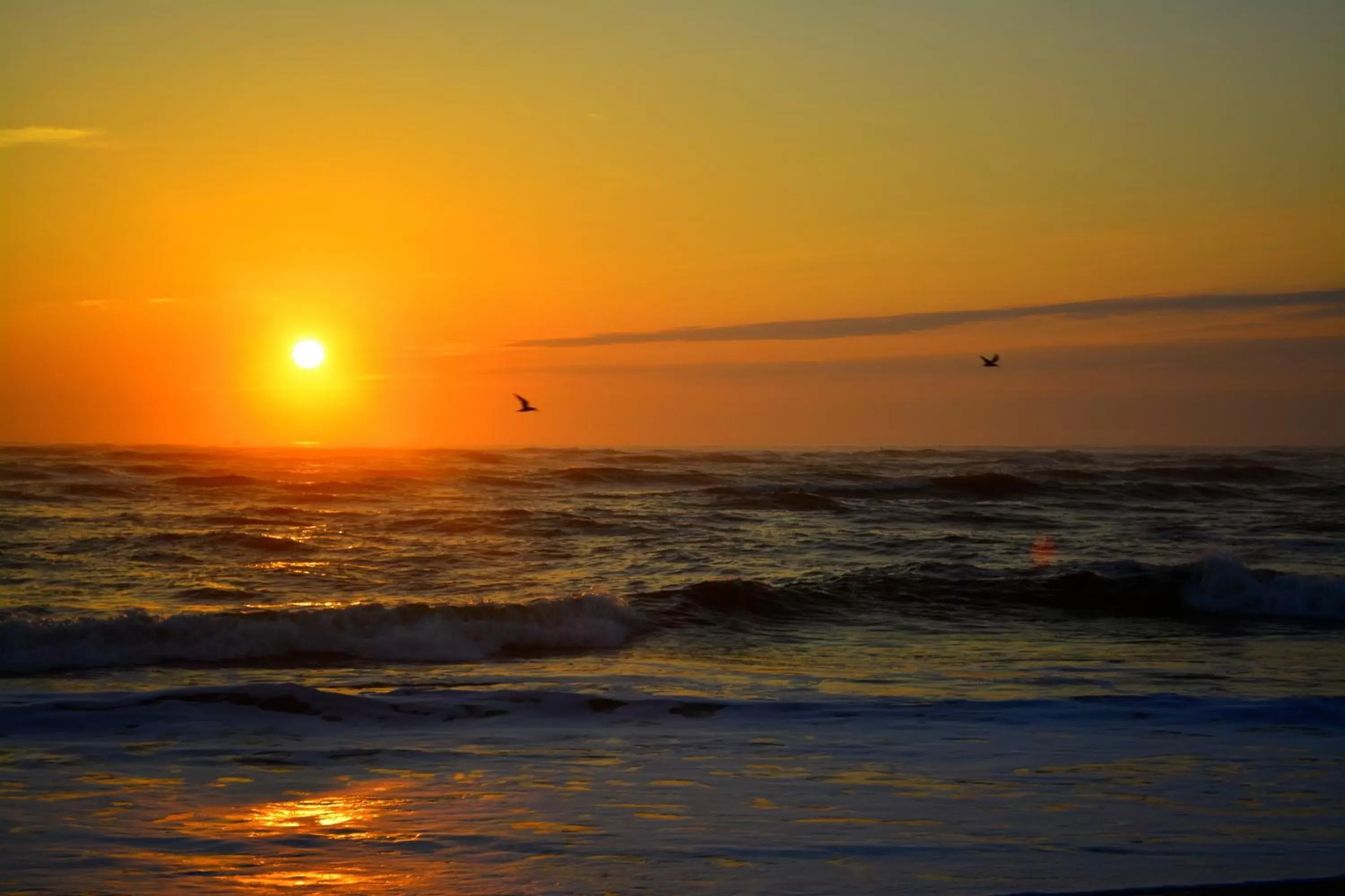 Natural landscape, Sunrise/Sunset in The Saint Augustine Beach House