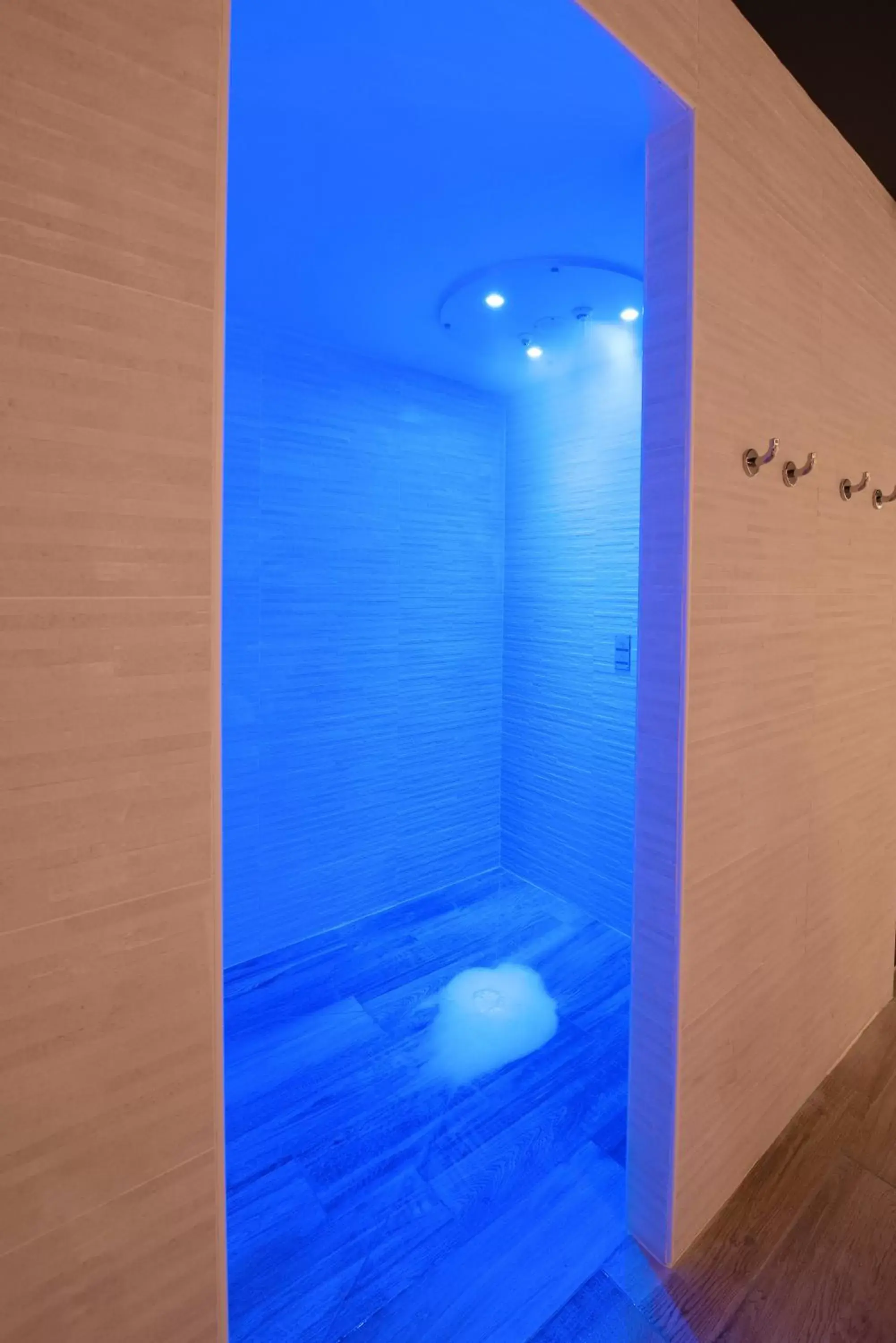 Sauna, Swimming Pool in PADJA Hôtel & Spa Vannes