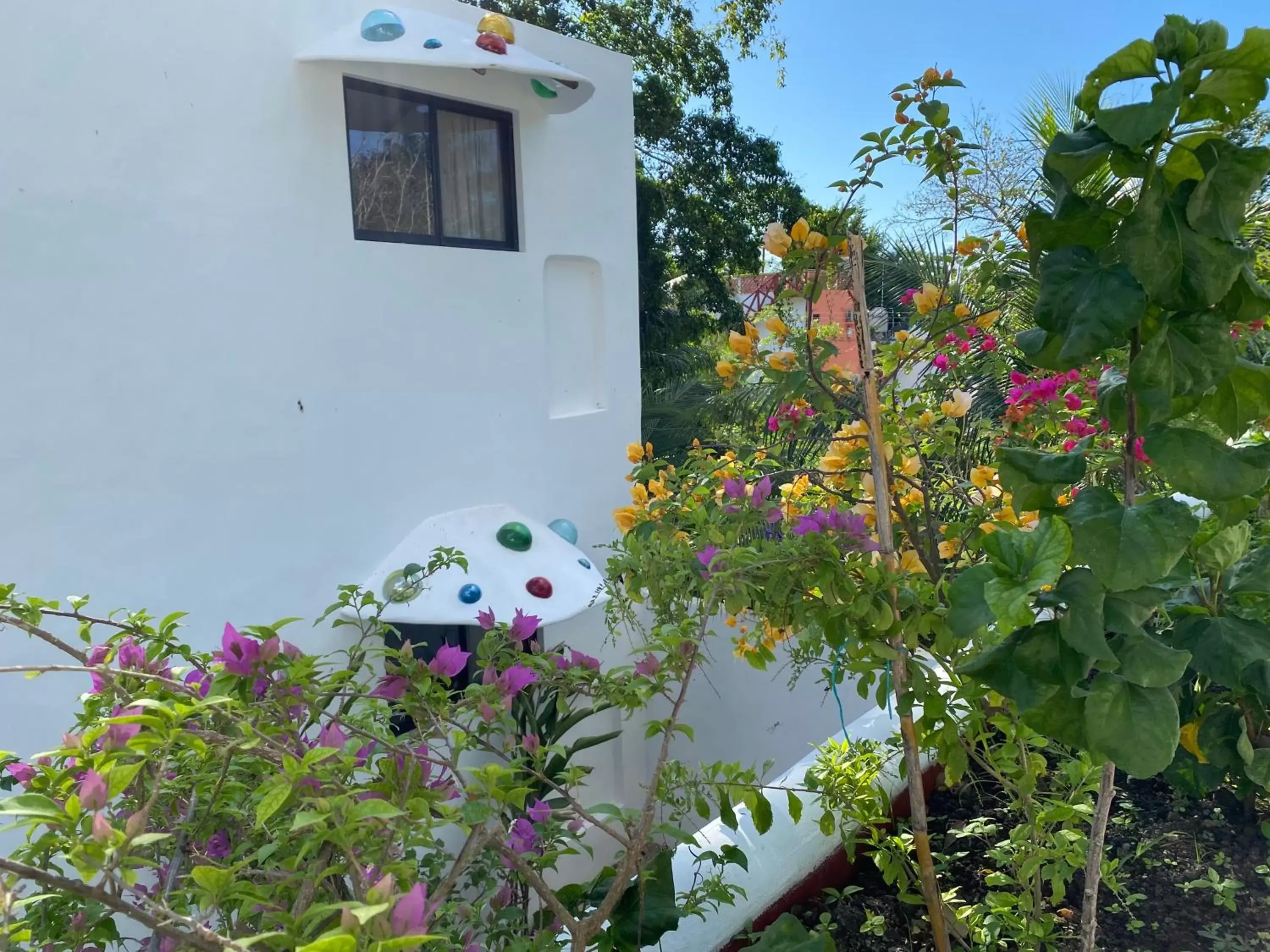 Garden in Maison Bacalar