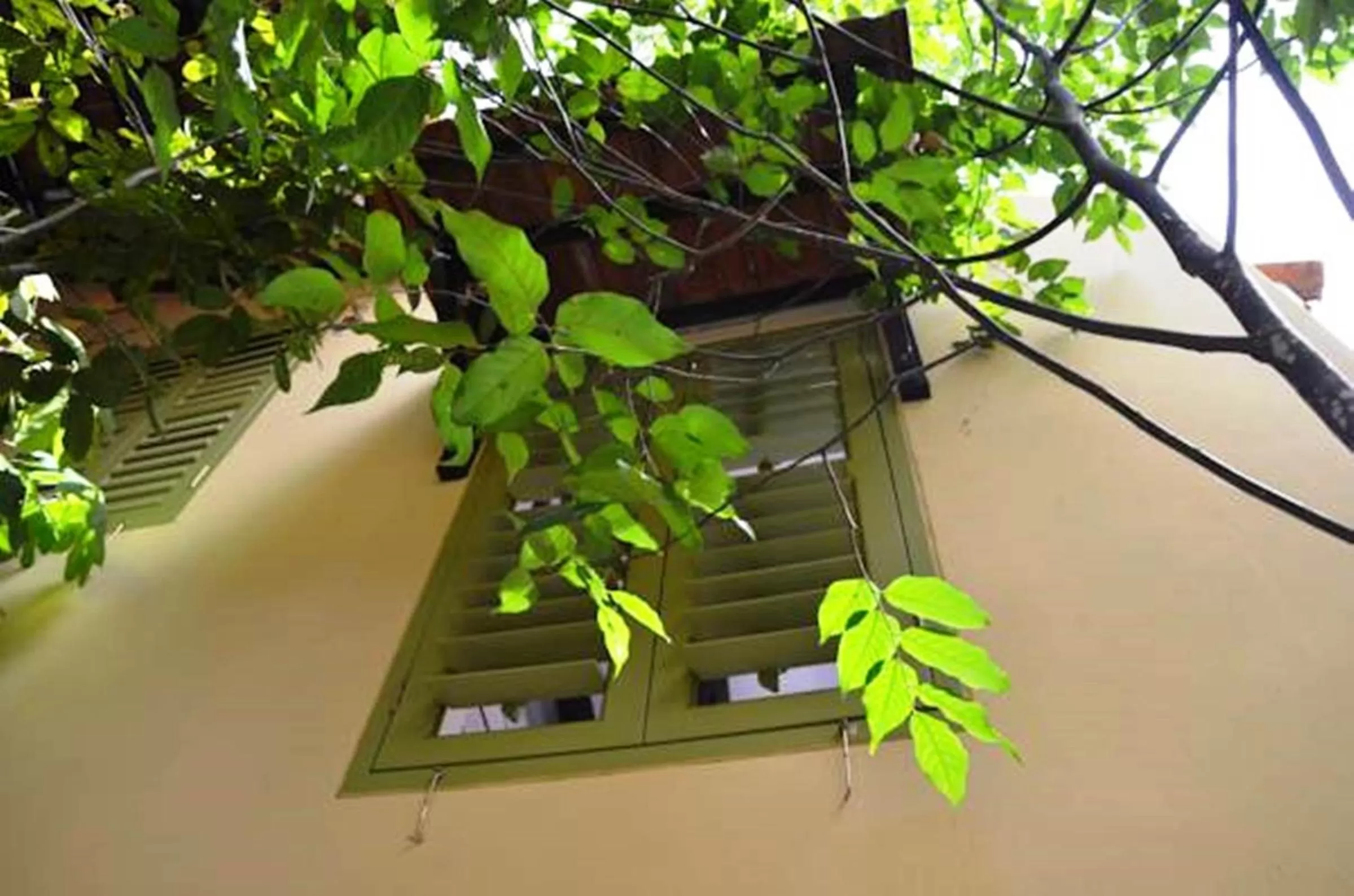 Natural landscape in Spices Hotel