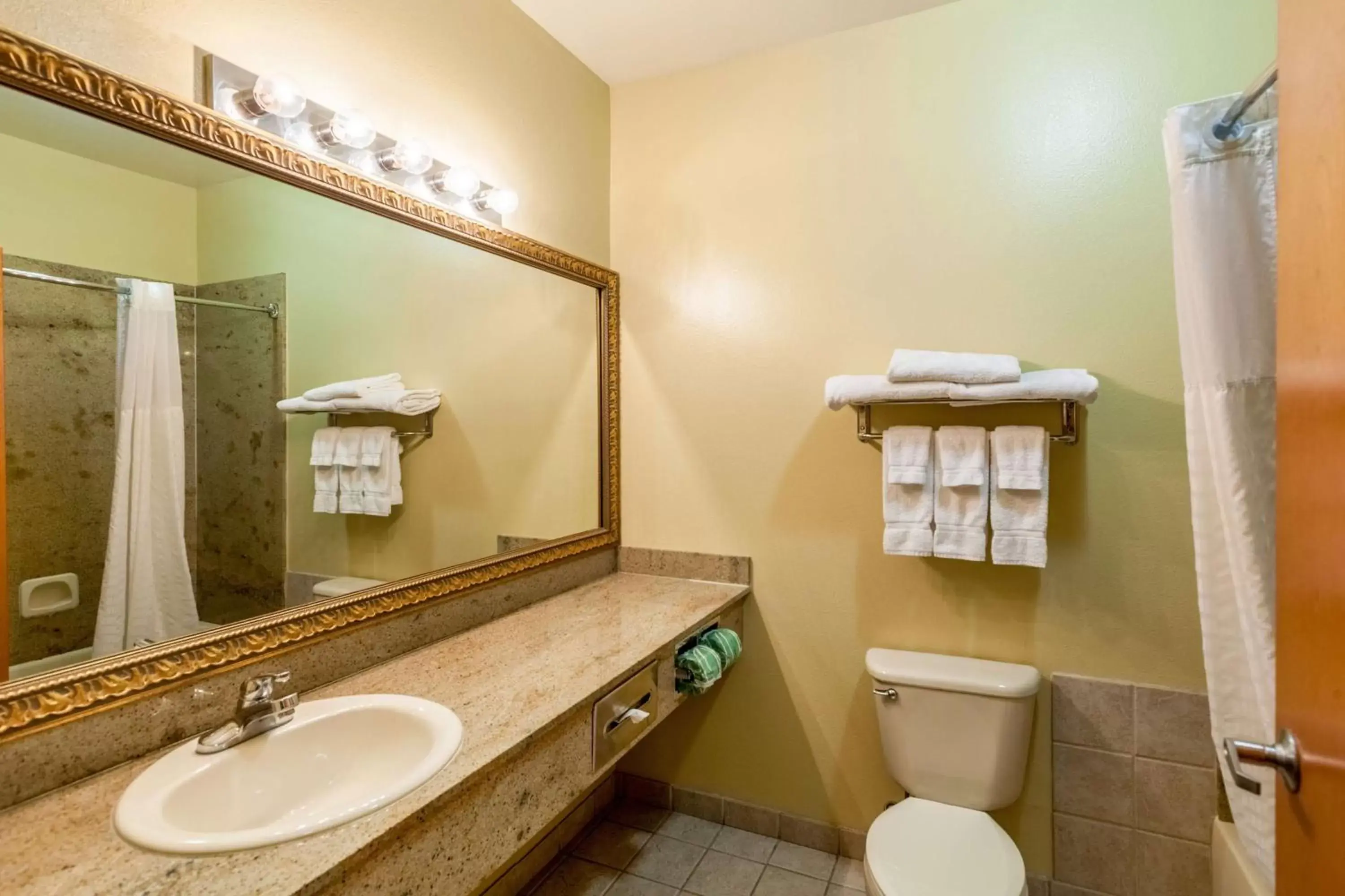 Bathroom in SureStay Plus Hotel by Best Western Mesquite