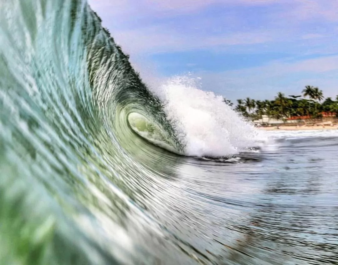 Other Animals in MOA Pousada
