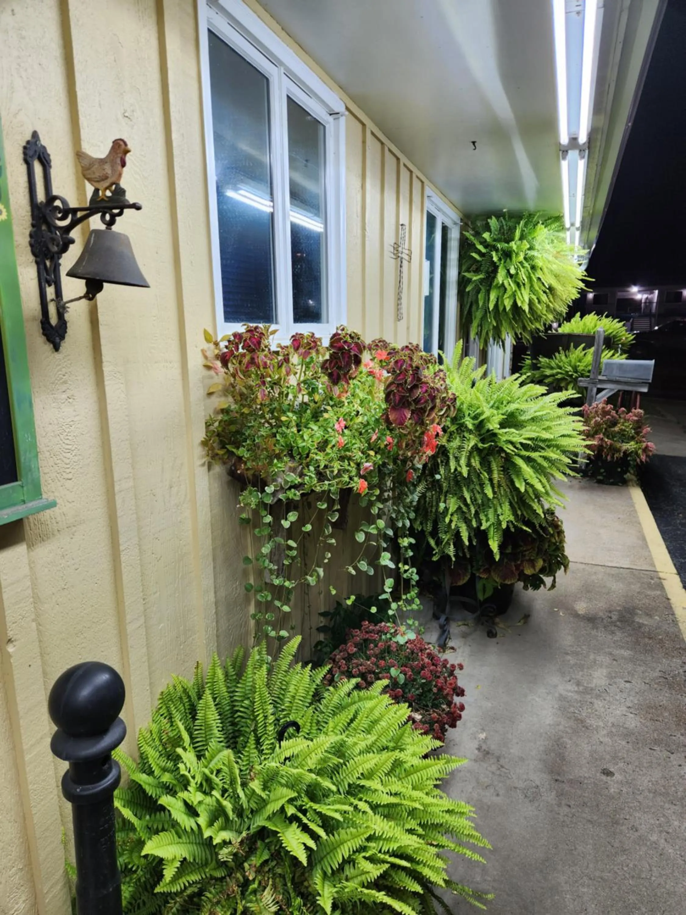 Property building in Homestead Motel