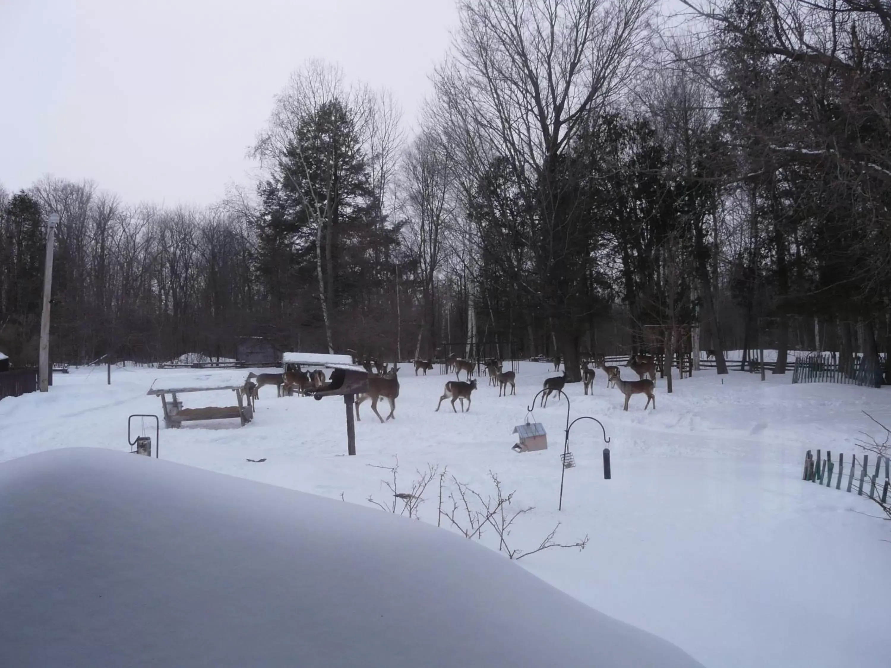 View (from property/room), Winter in Auberge des Gallant