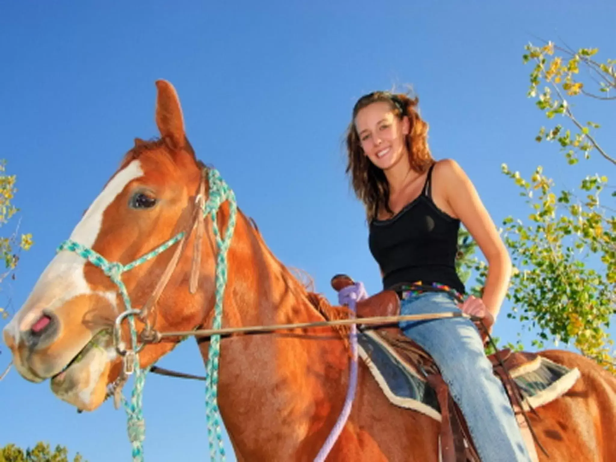 Spring, Horseback Riding in Hotel Restaurant Les Brases