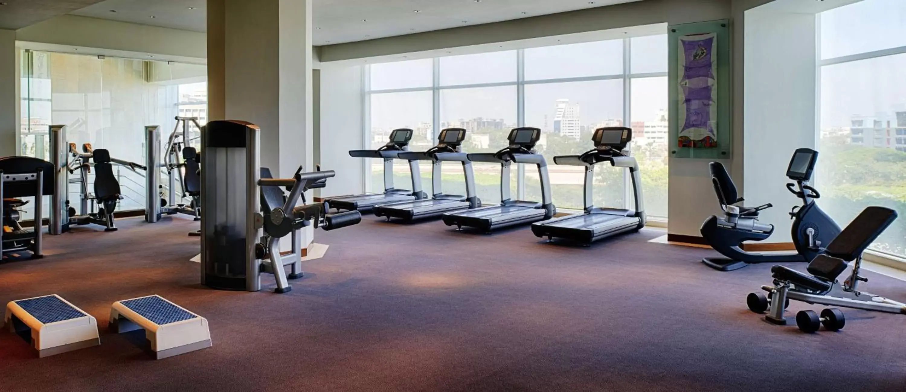 Fitness centre/facilities, Fitness Center/Facilities in Hyatt Regency Chennai