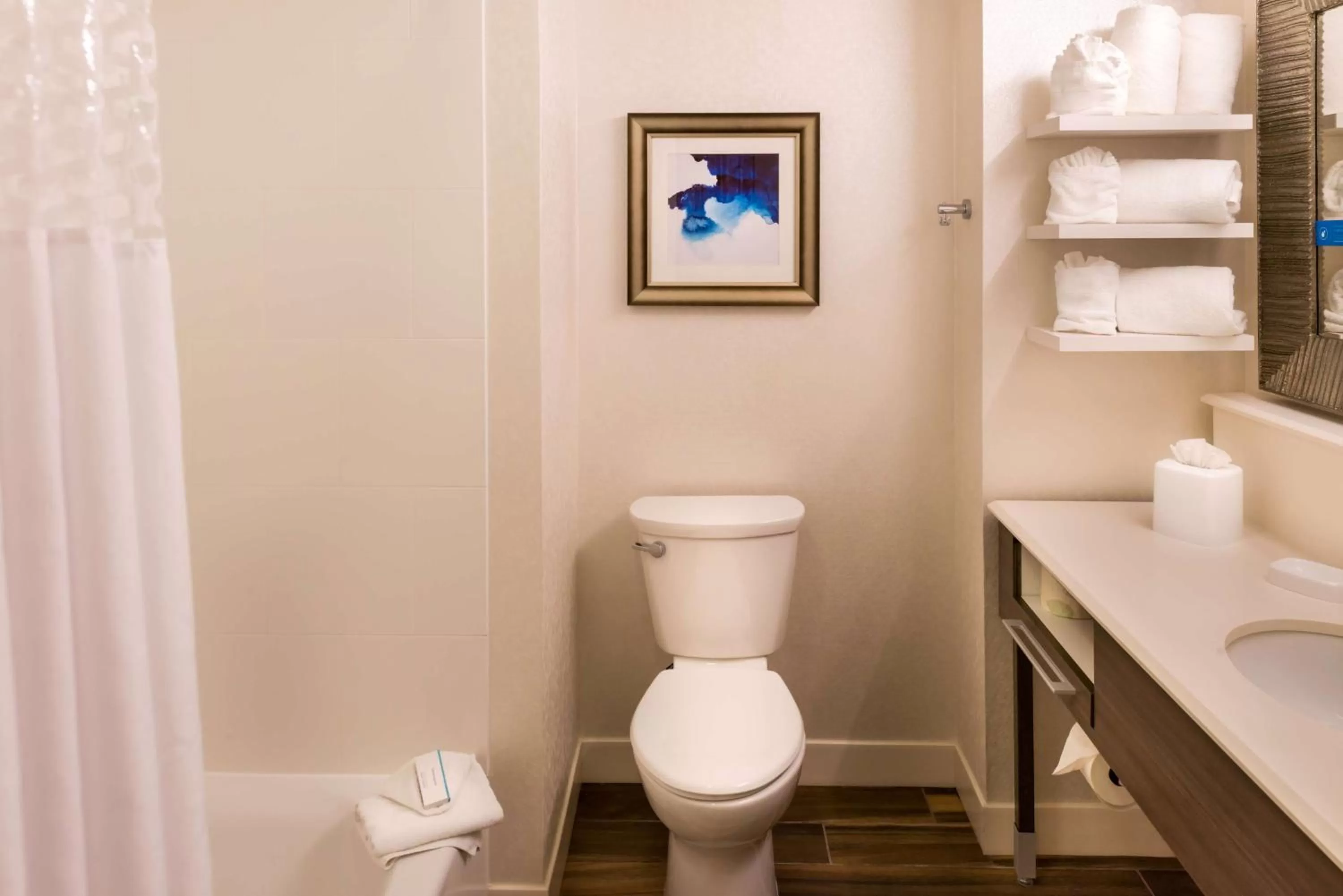 Bathroom in Hampton Inn & Suites Orlando-East UCF