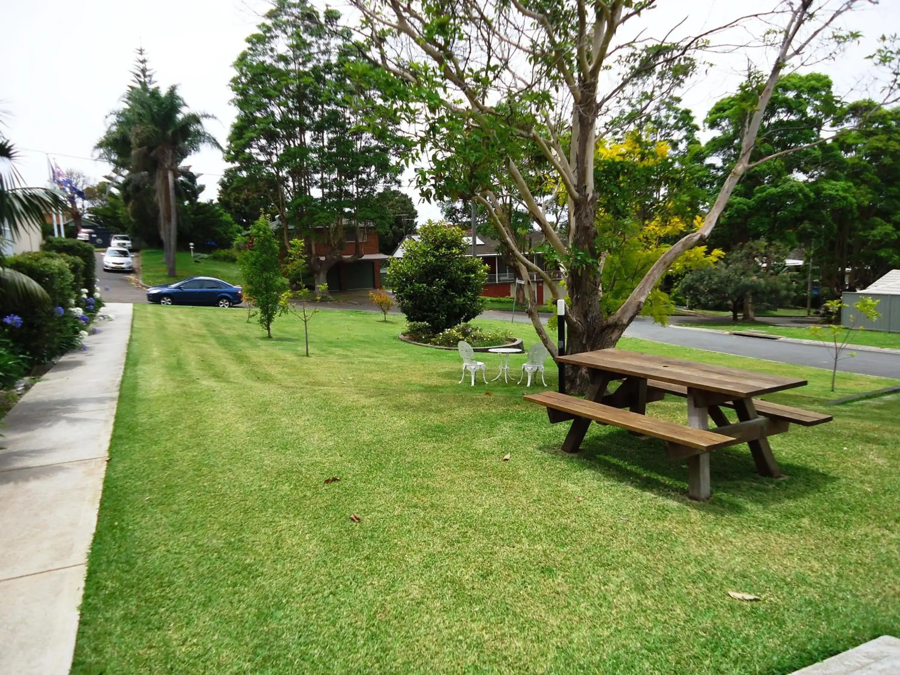 Garden in Aston Hill Motor Lodge