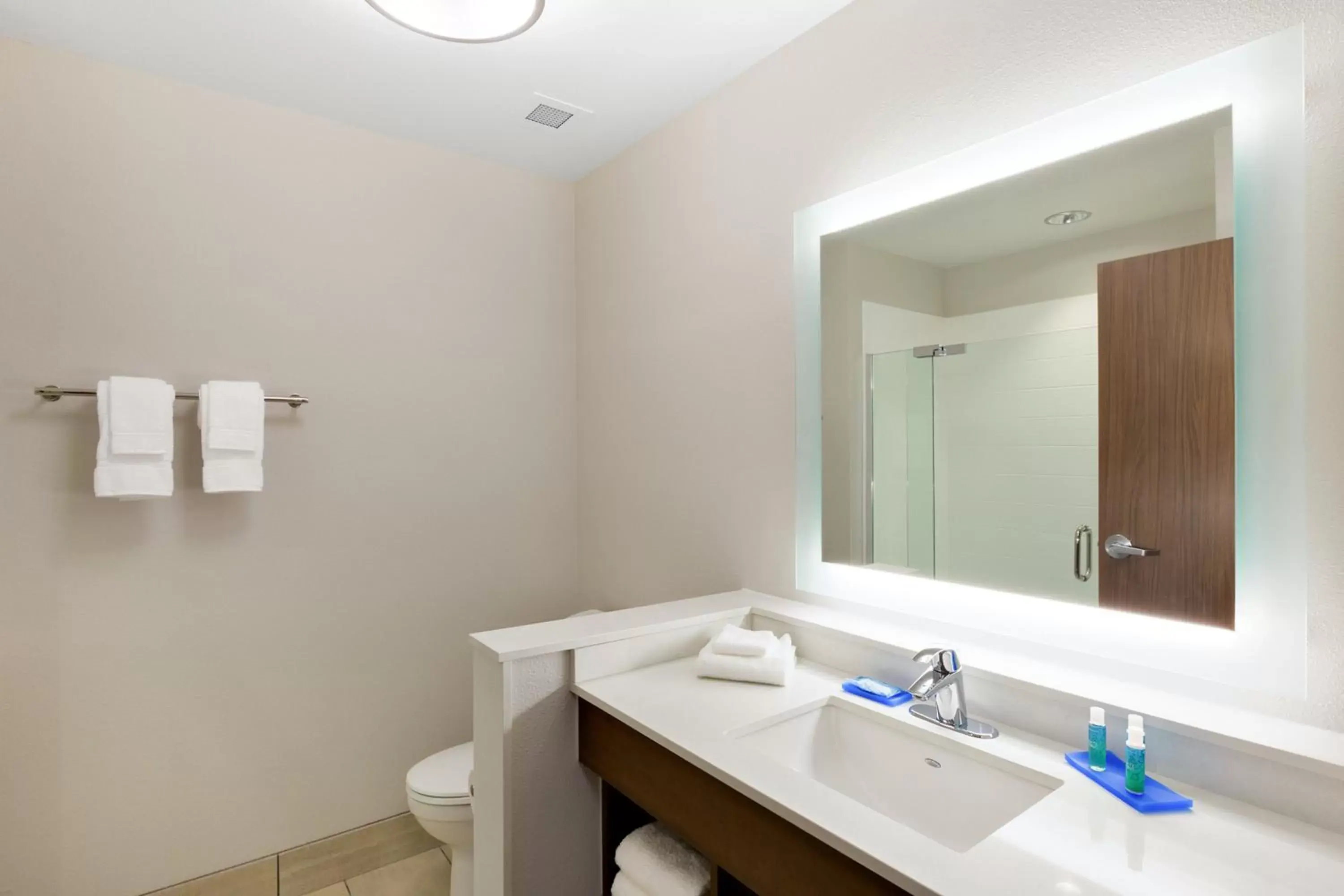 Photo of the whole room, Bathroom in Holiday Inn Express & Suites - Prosser - Yakima Valley Wine, an IHG Hotel