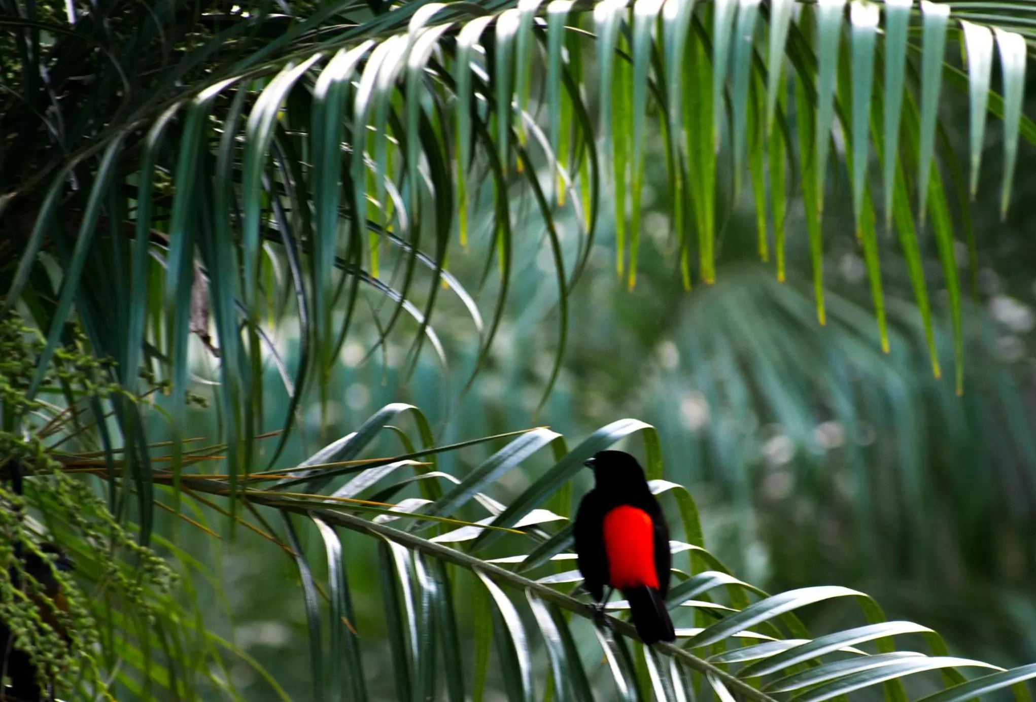 Bird's eye view in Hotel Kokoro Mineral Hot Springs
