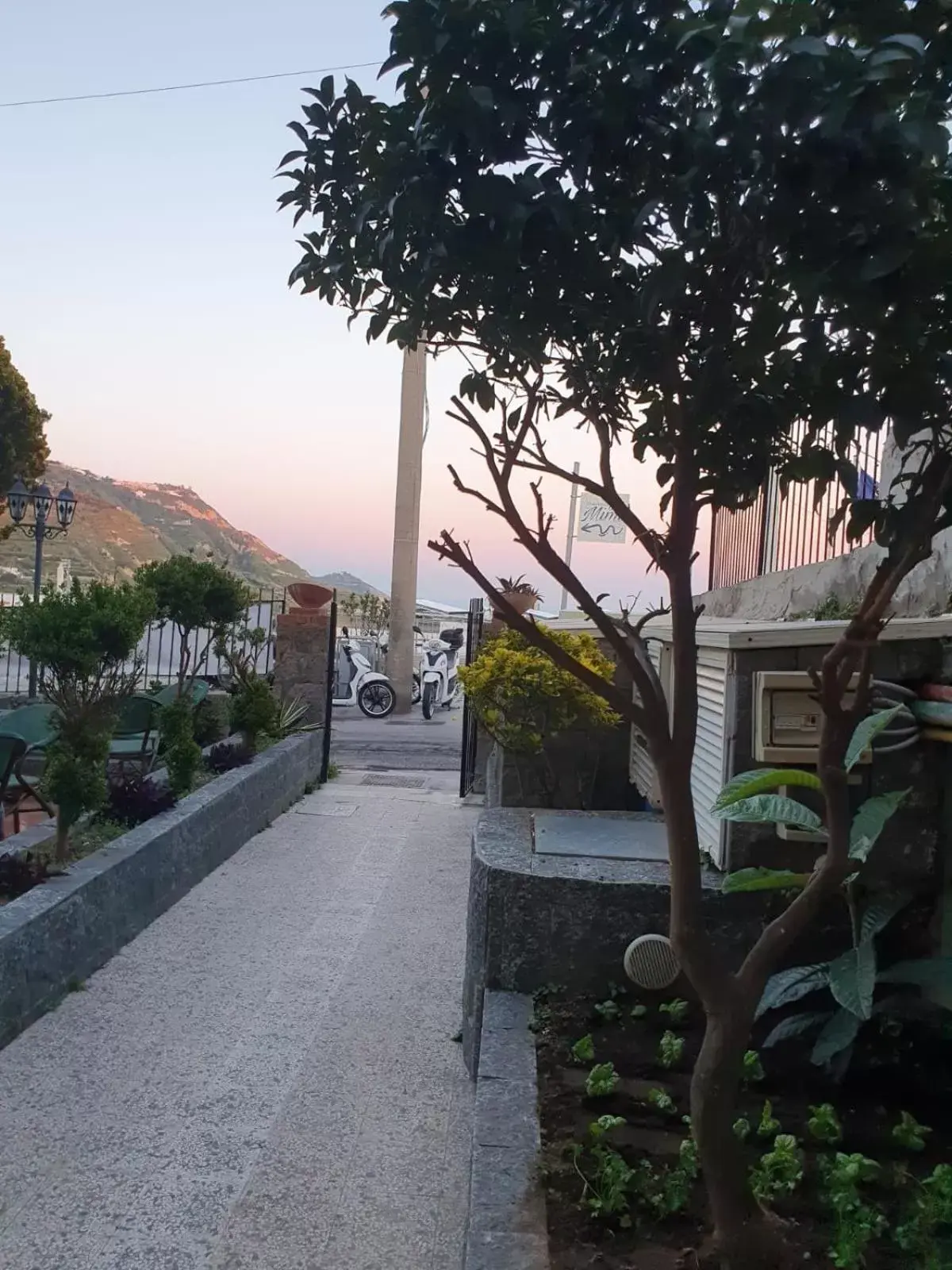 Garden in Hotel Mareluna Ischia