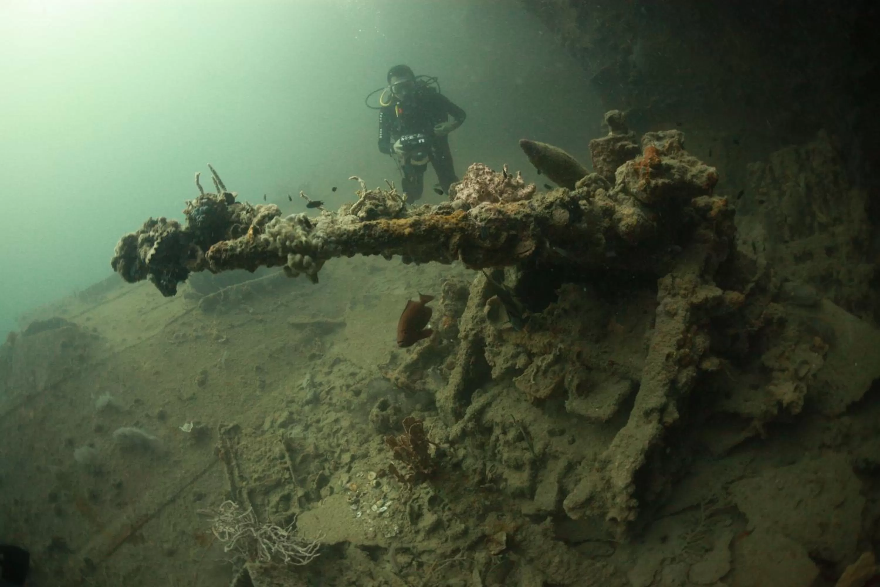Diving in Busuanga Bay Lodge