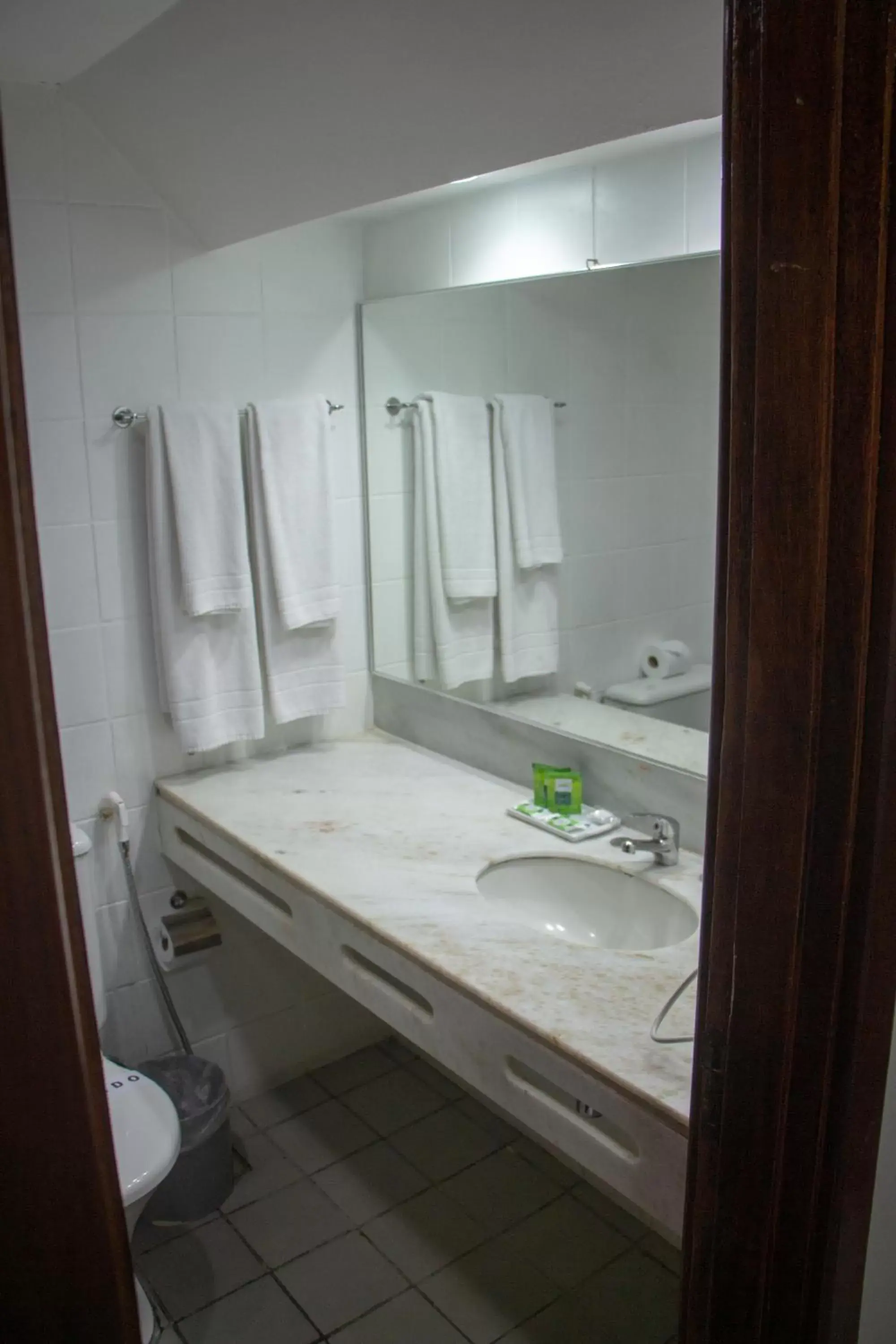 Bathroom in Golden Park Rio de Janeiro Aeroporto