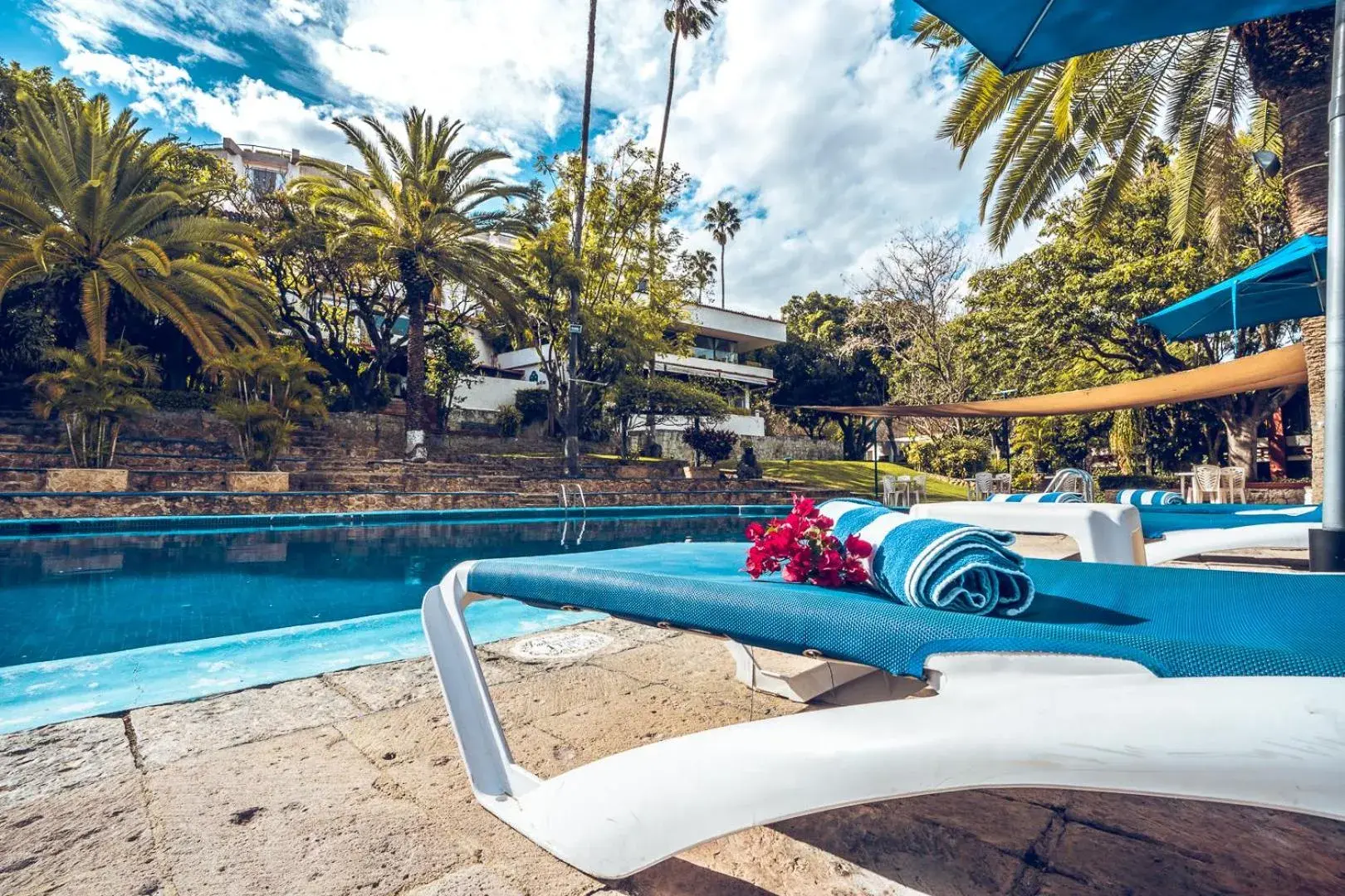 Garden view, Swimming Pool in Hotel Victoria Oaxaca