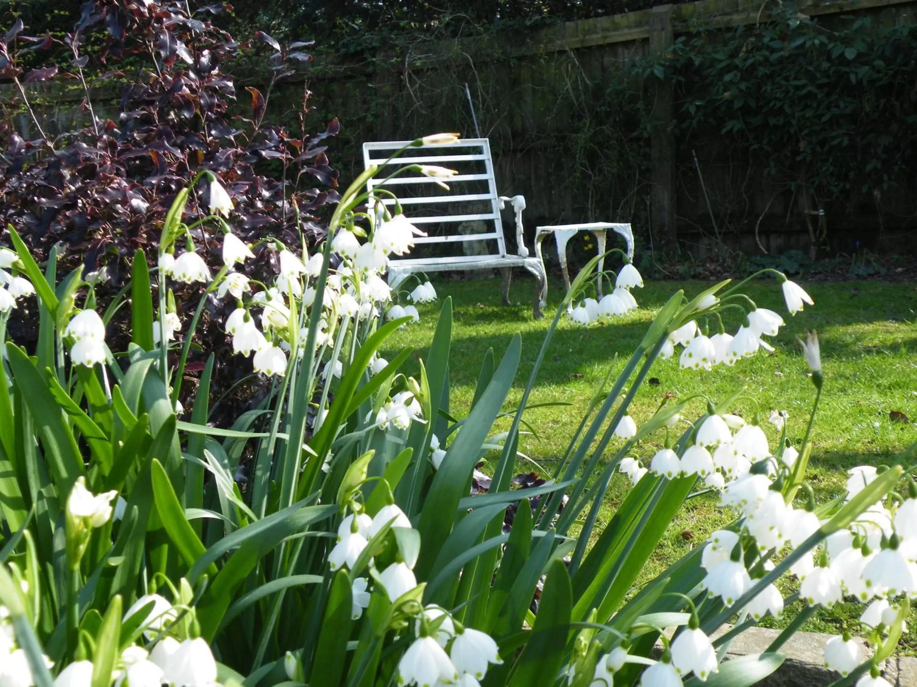 Garden in Broadlands Gate