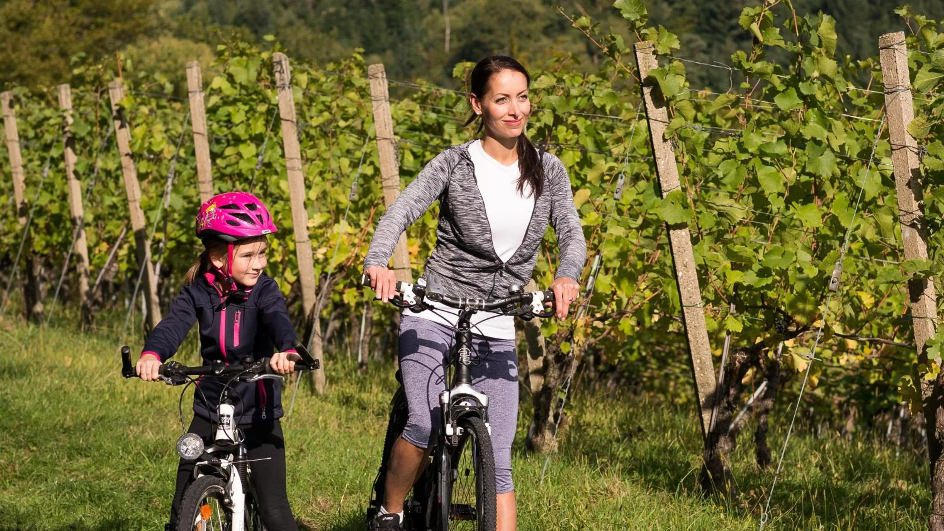 Day in Hotel Rebstock