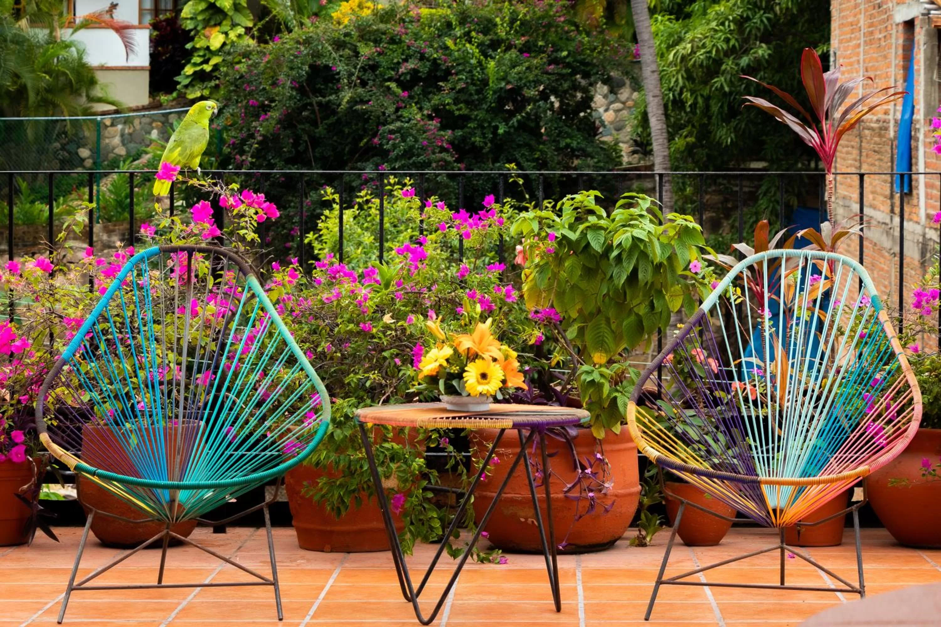 Balcony/Terrace in Hotel Posada De Roger - Near Los Muertos Beach