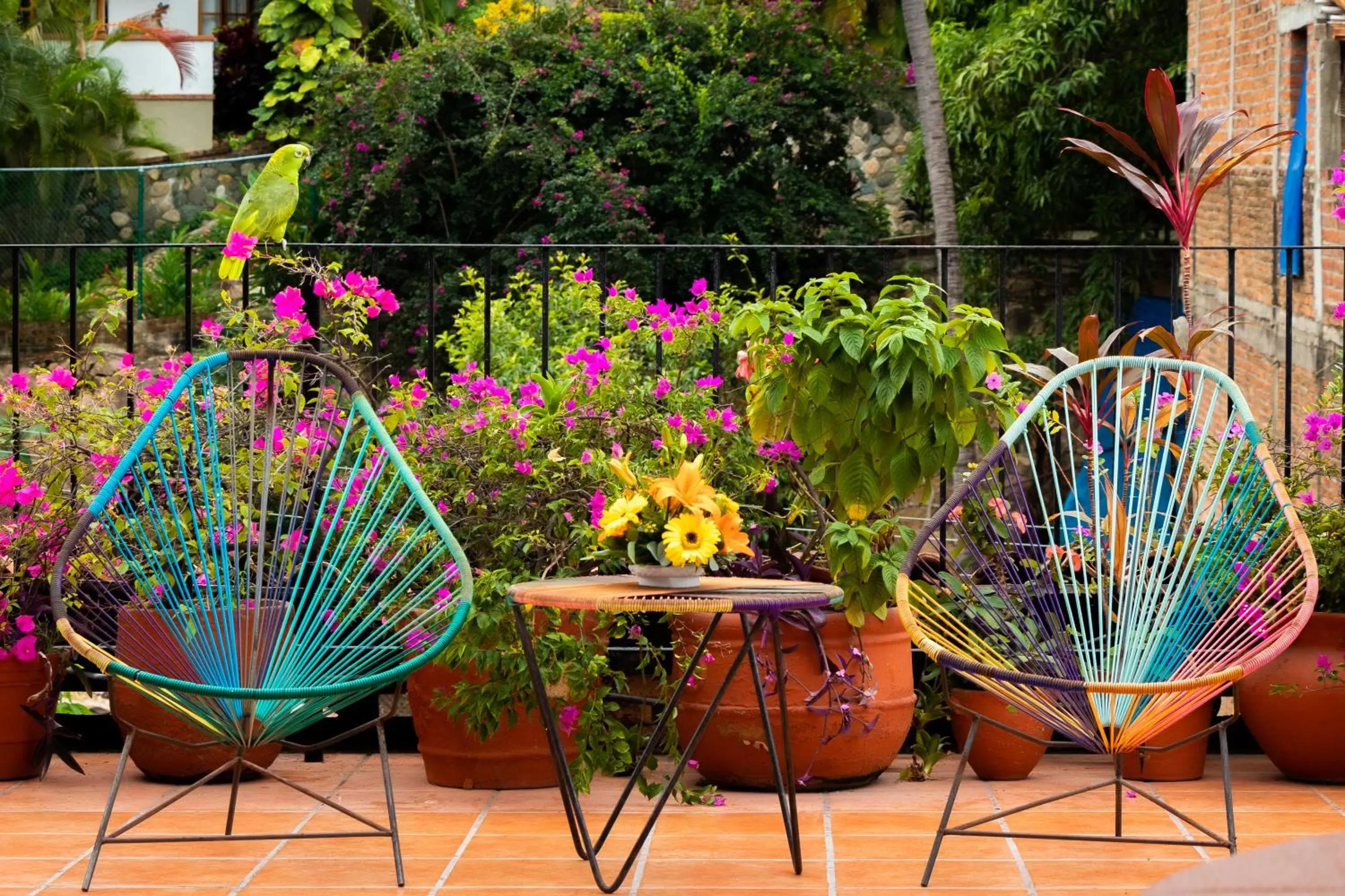 Balcony/Terrace in Hotel Posada De Roger