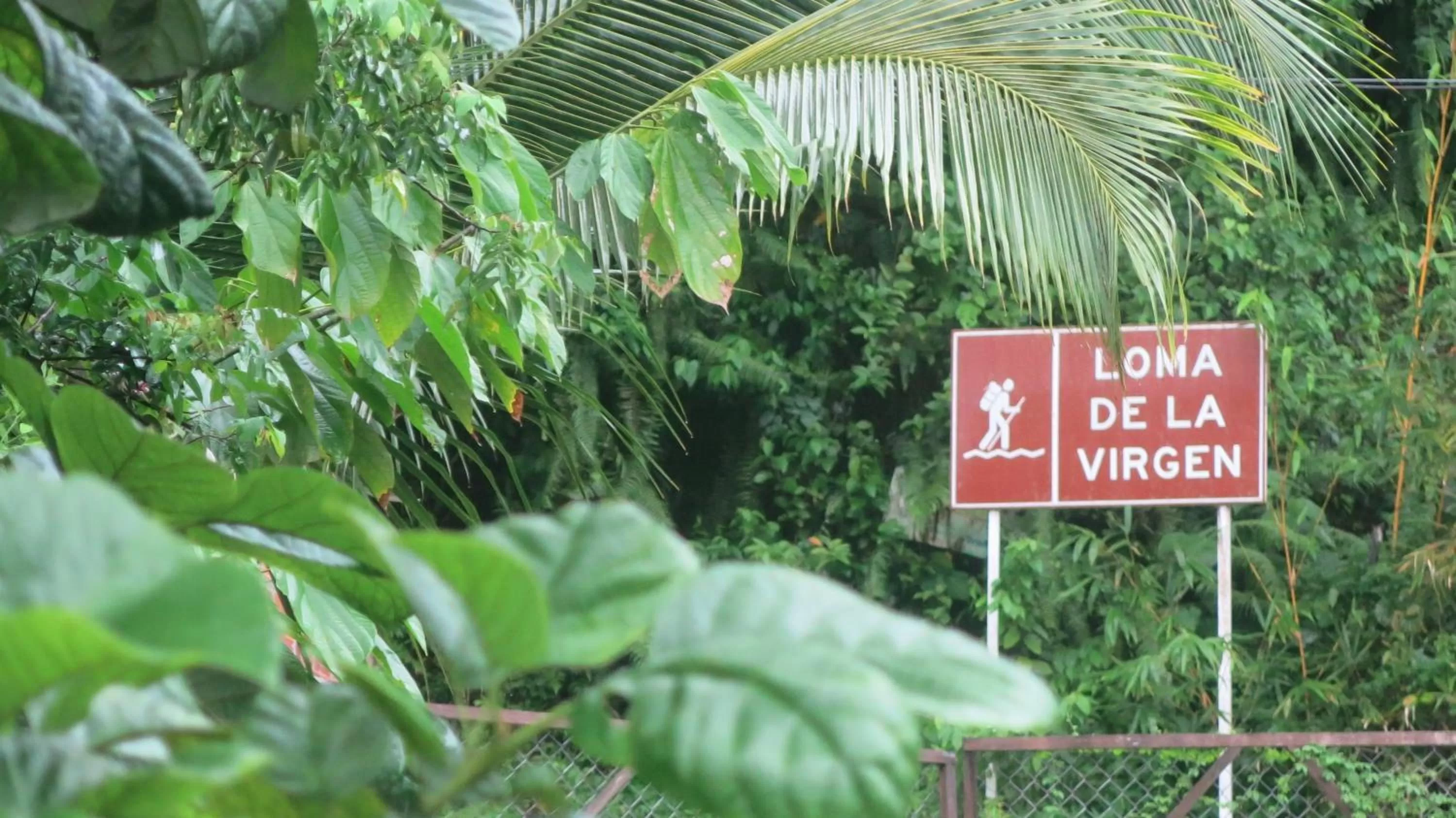 Hiking in Posada El Acuario