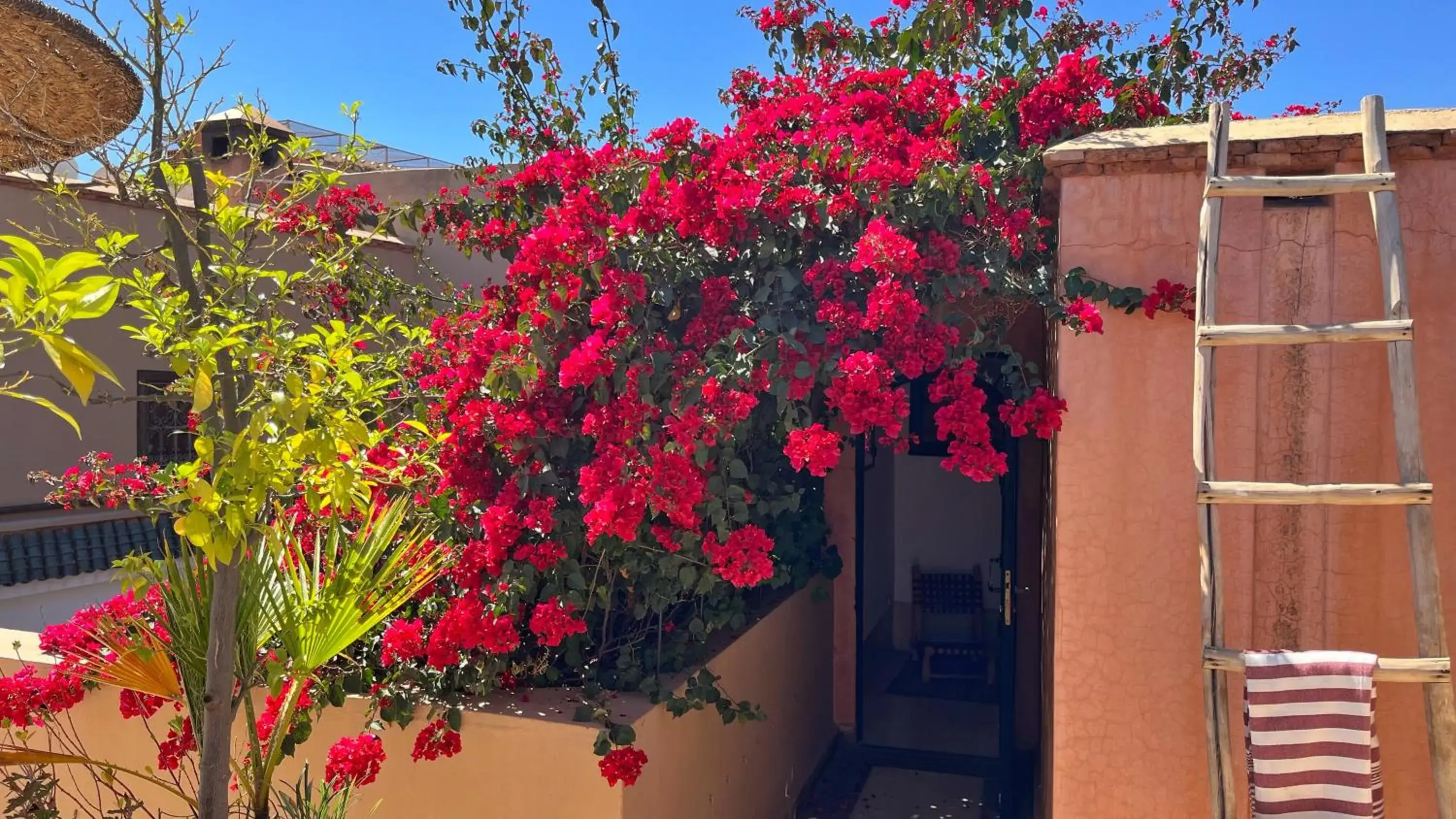 Garden in Riad Dar Zaman