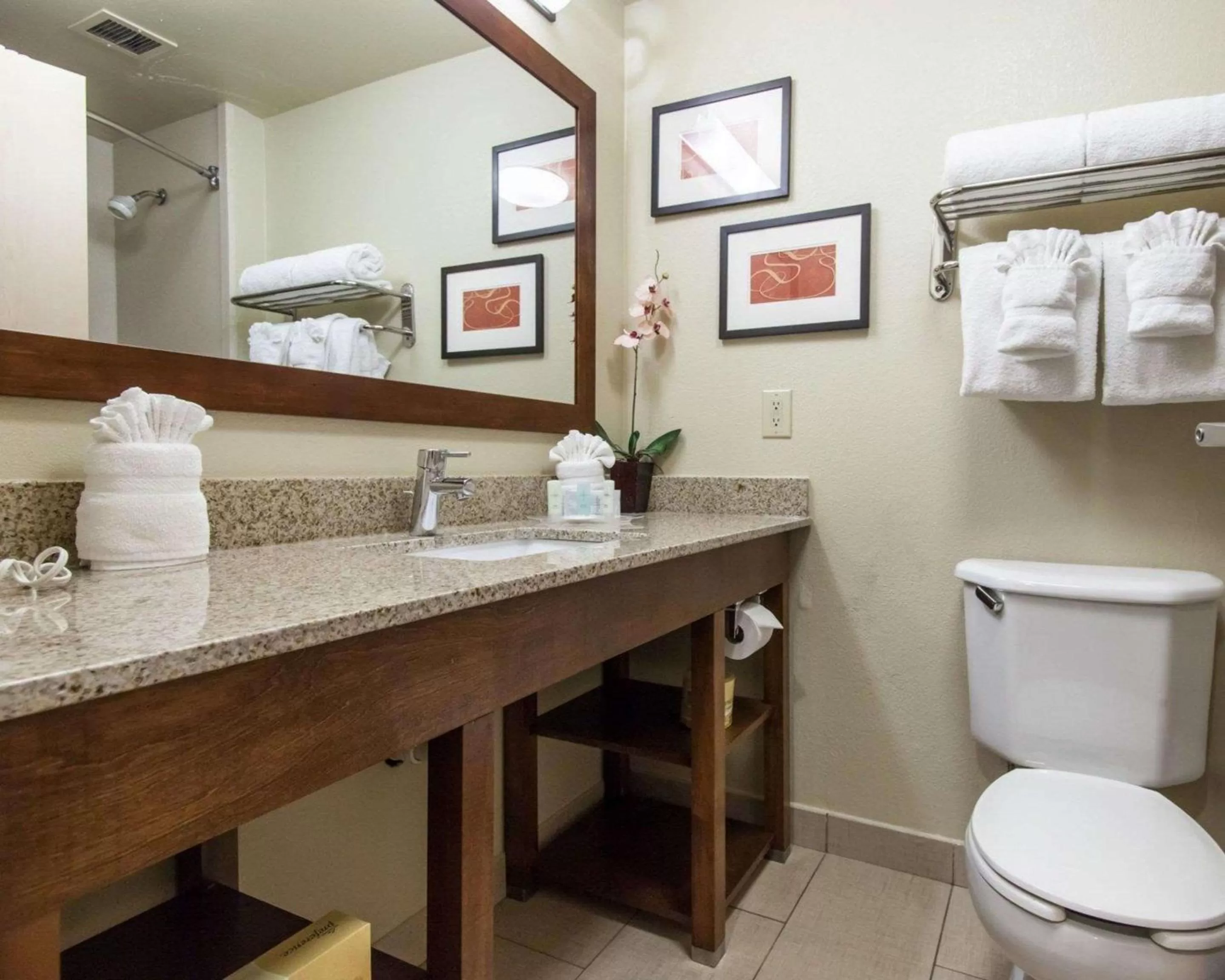 Bathroom in Comfort Suites Tulsa Central
