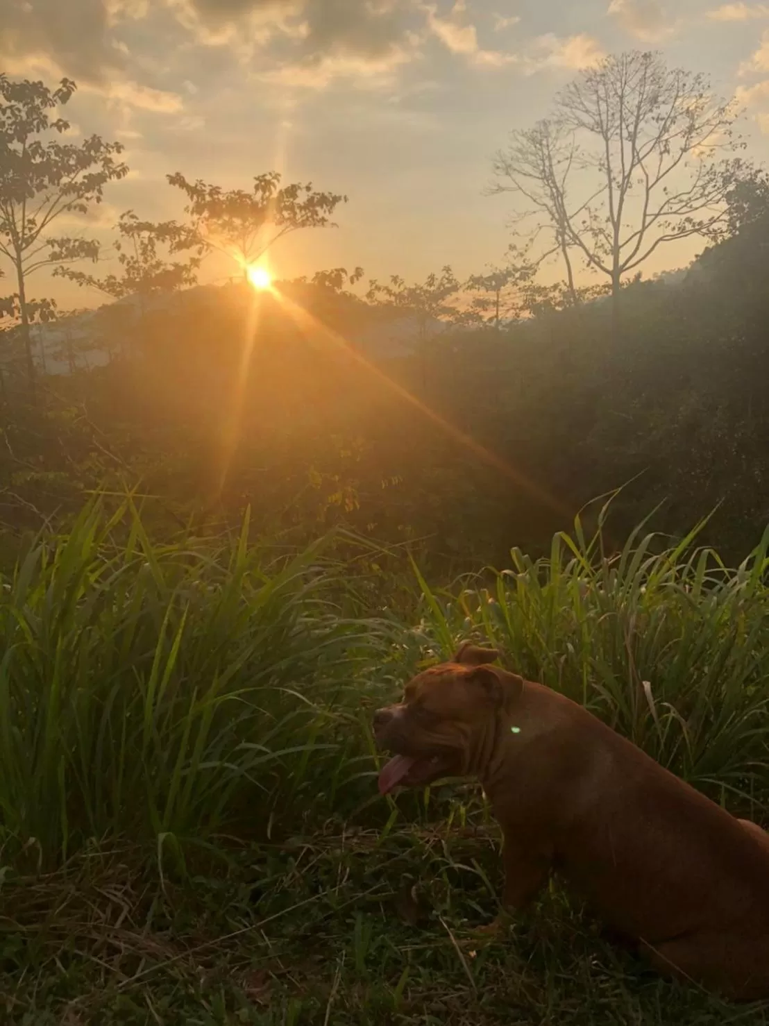 Khao Sok Hill Top Resort