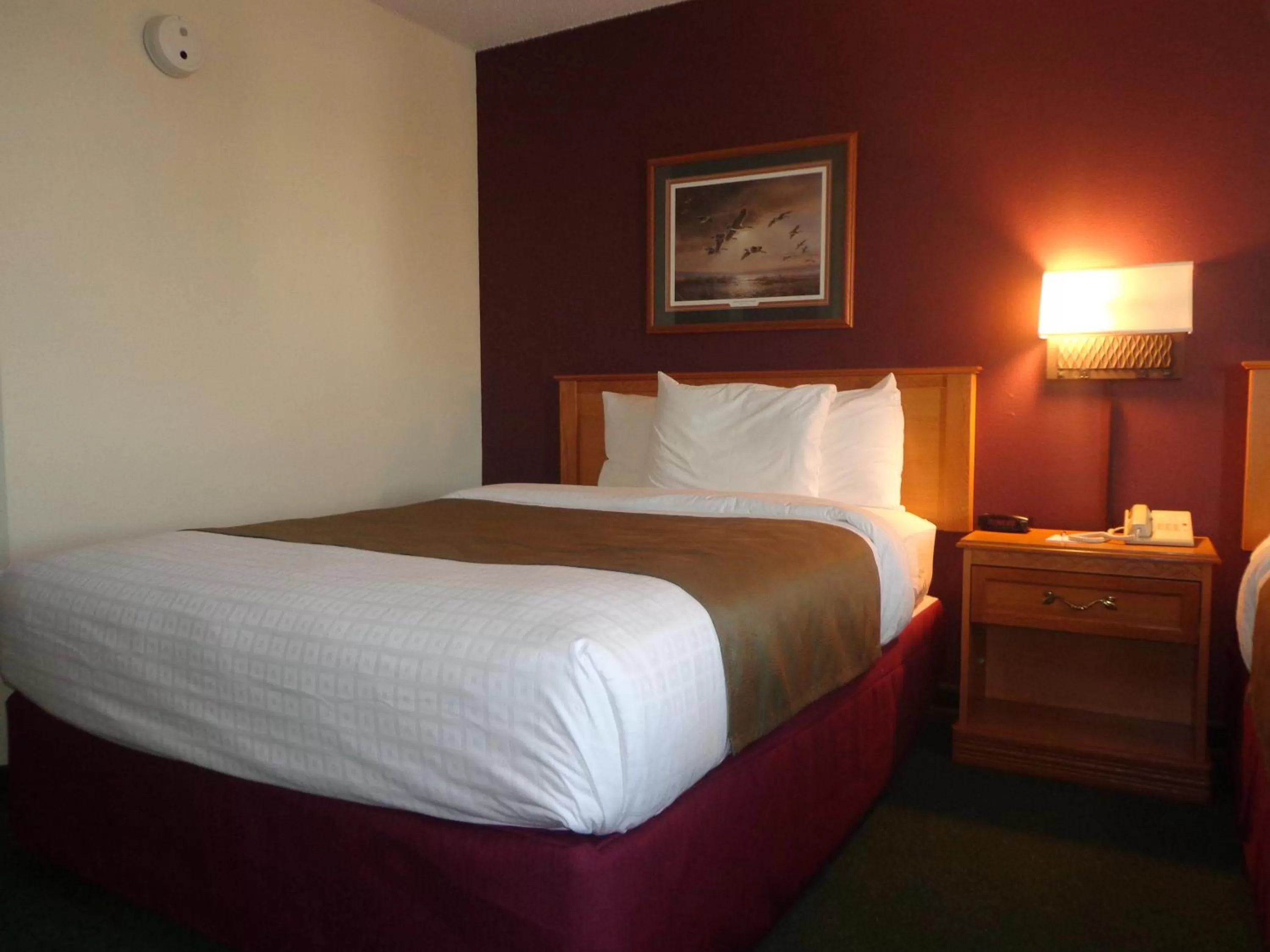 Bed in AmericInn by Wyndham Madison SD