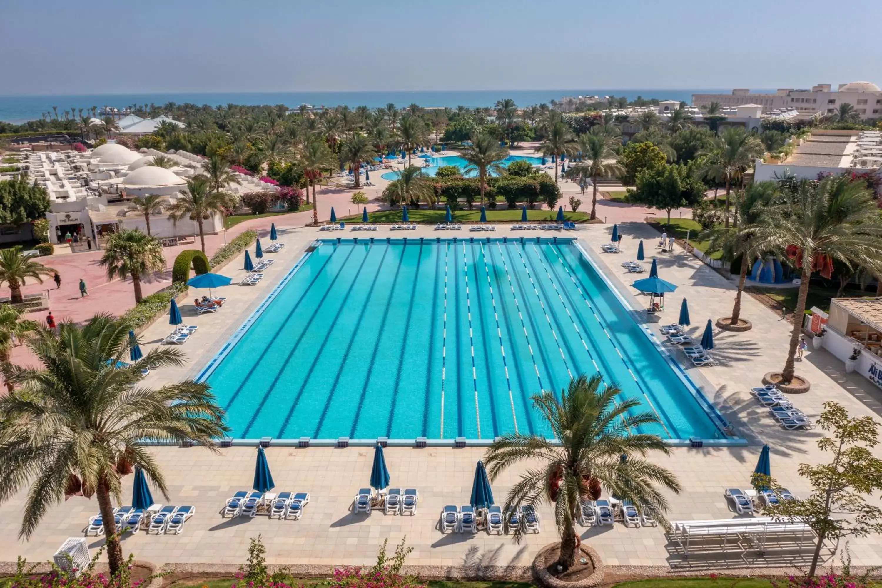 Swimming pool, Pool View in Desert Rose Resort