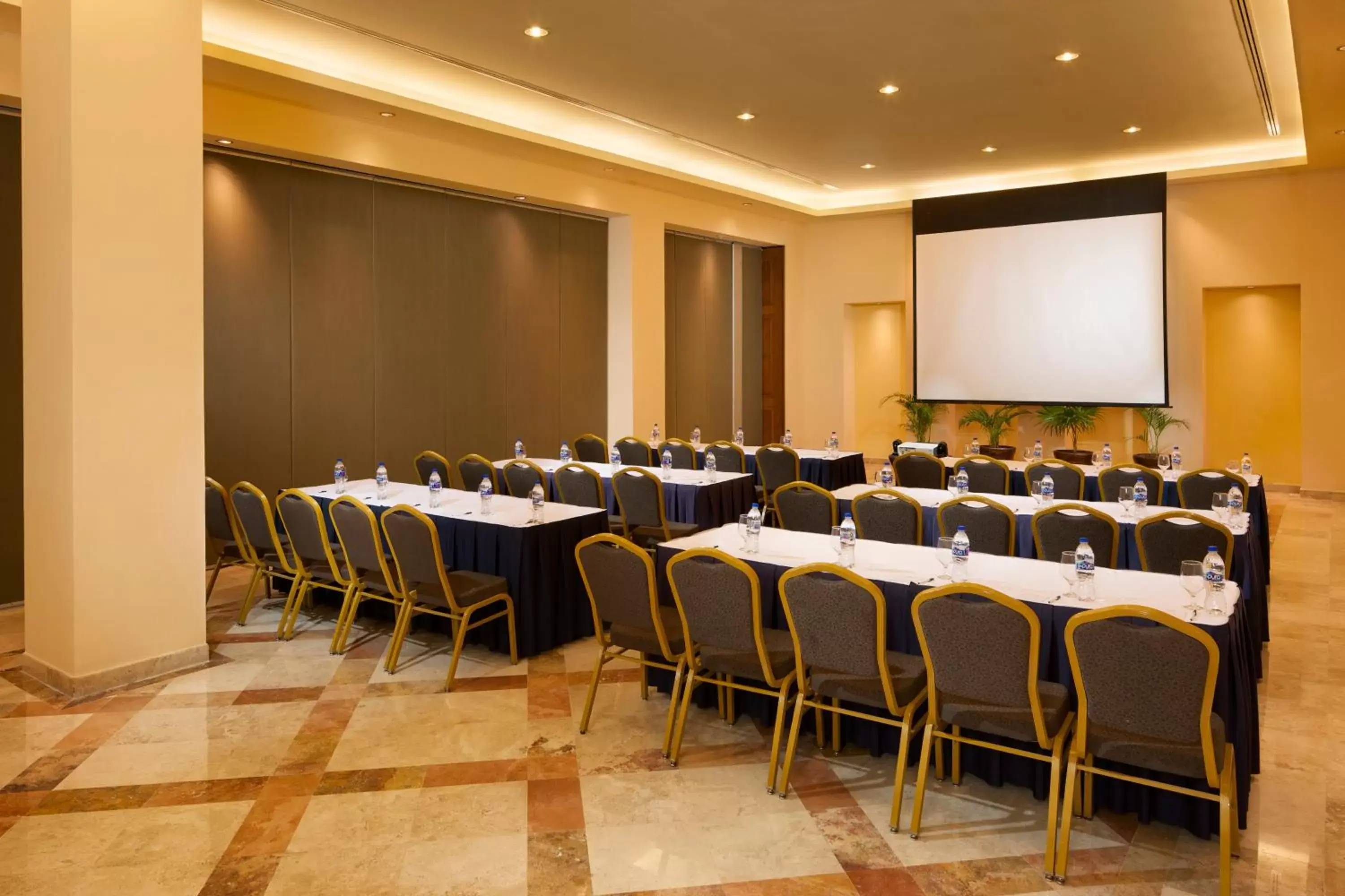 Meeting/conference room, Business Area/Conference Room in Playa Grande Resort