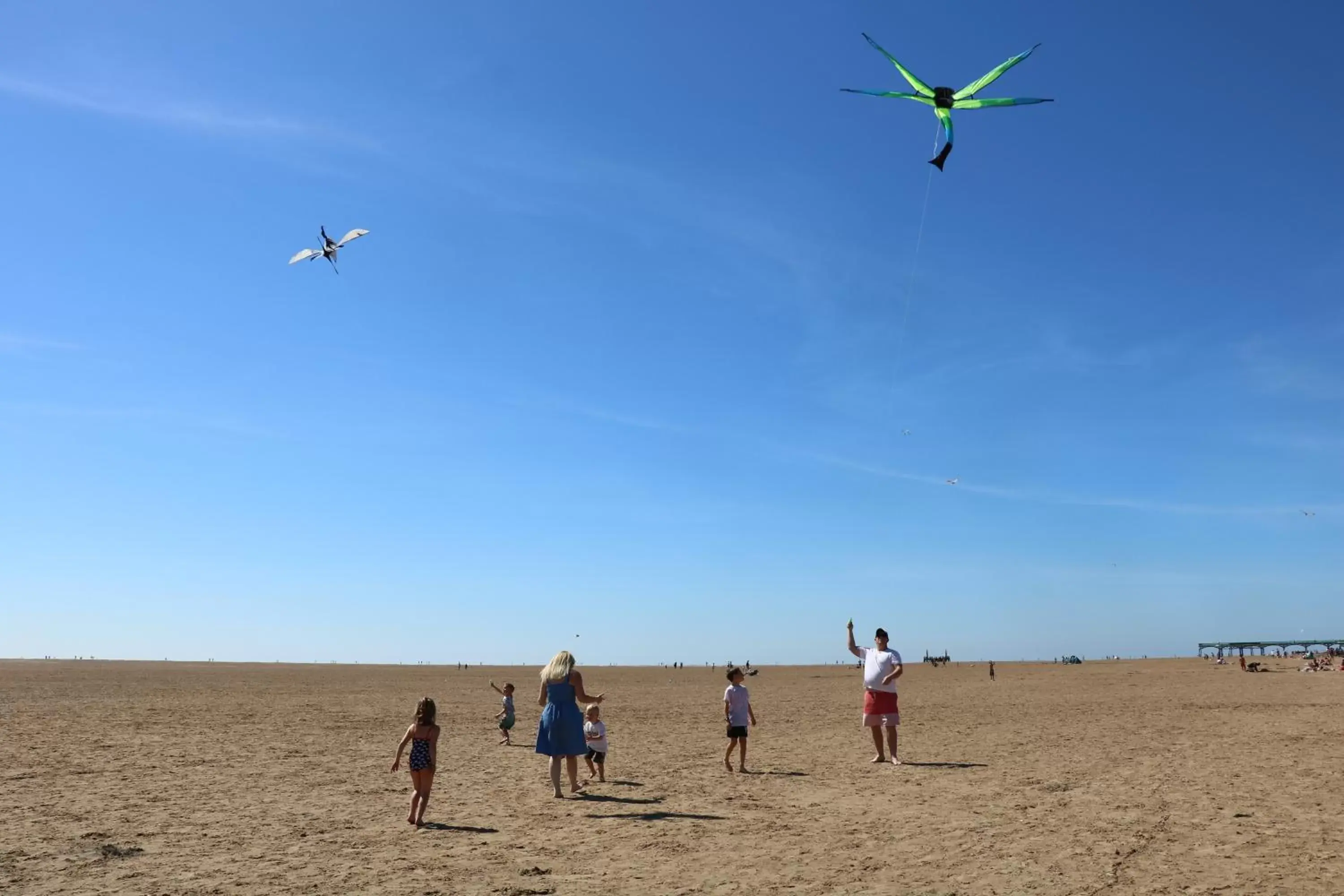 Beach in The Gaydon