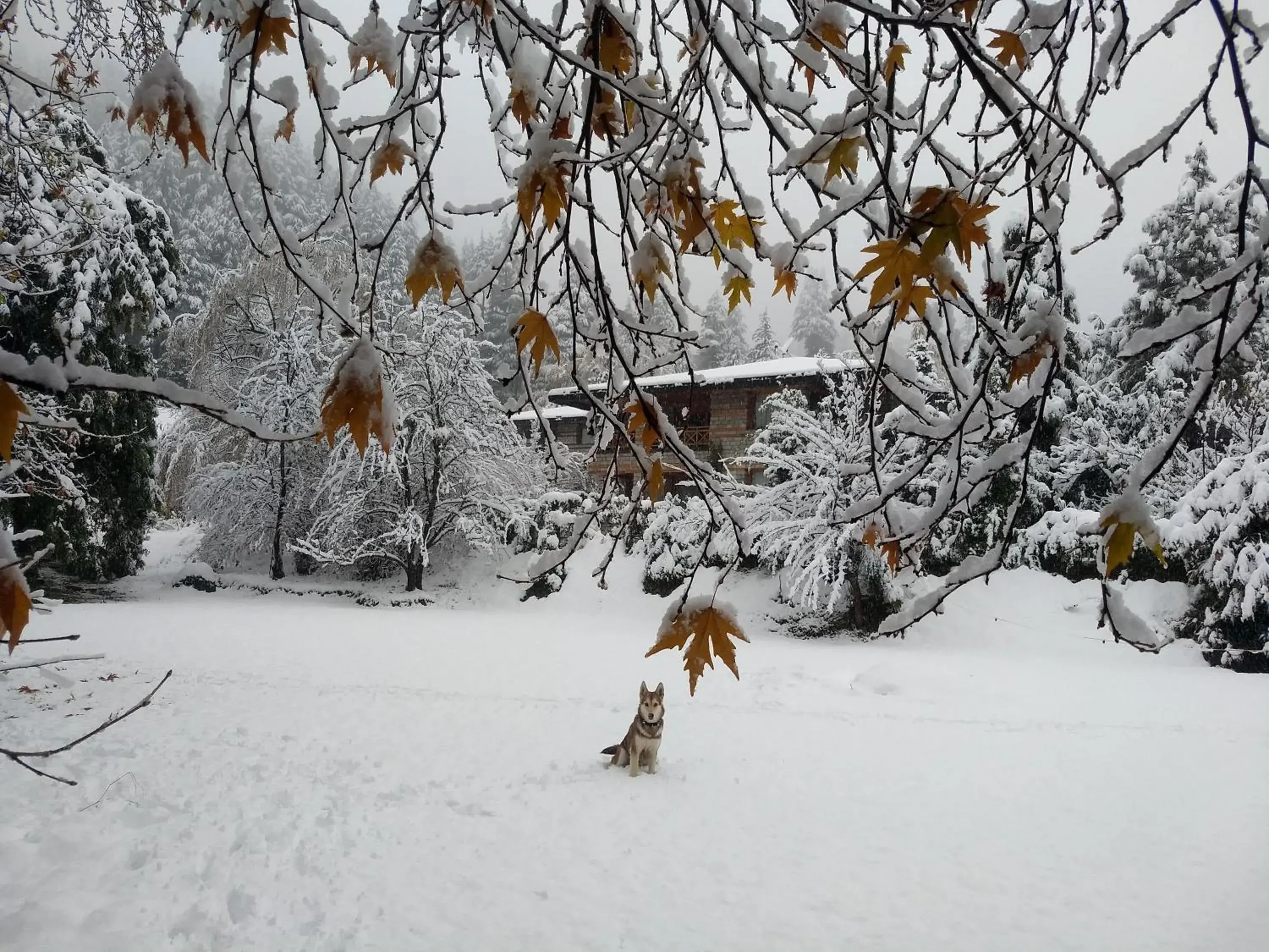 Facade/entrance, Winter in Banon Resorts