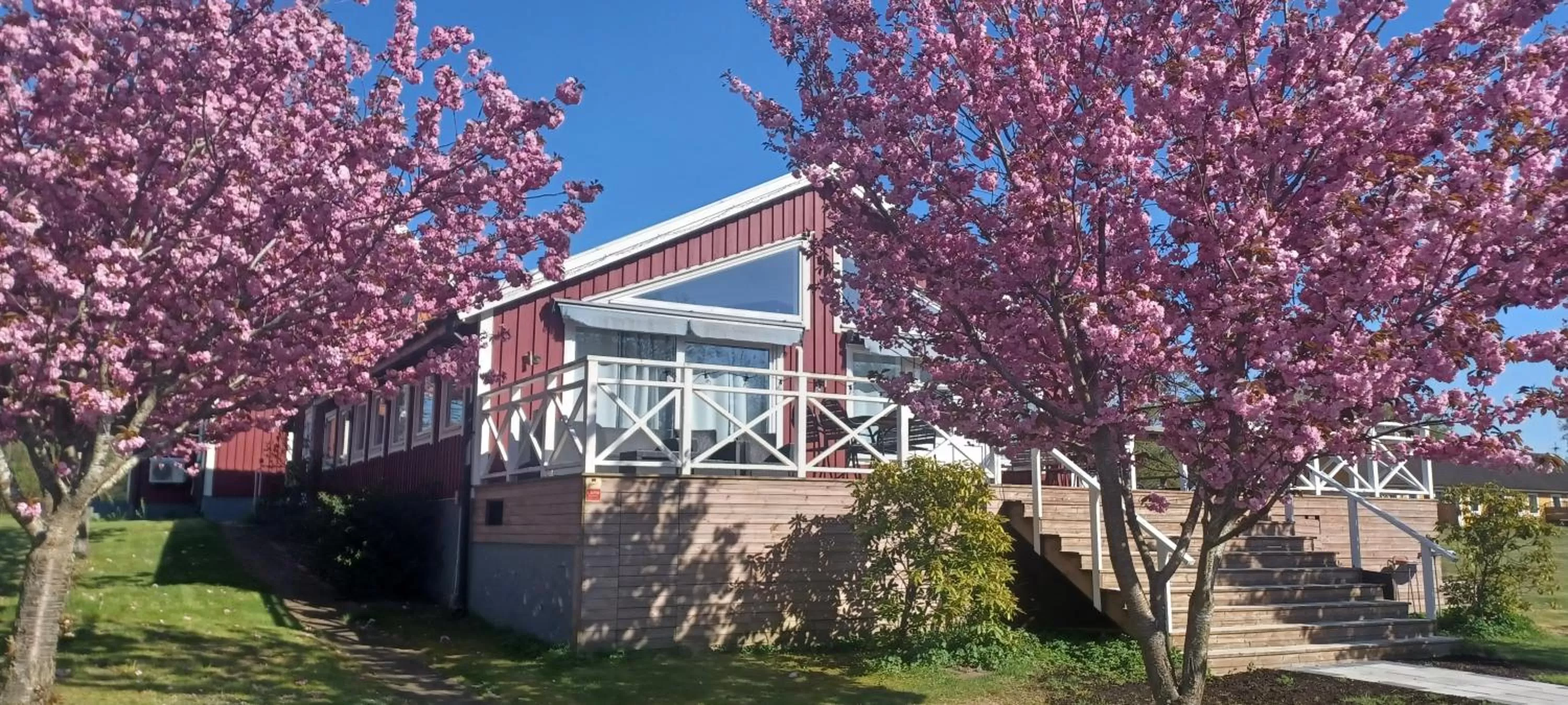 Restaurant/places to eat in Solstickan Hotell & Vandrarhem