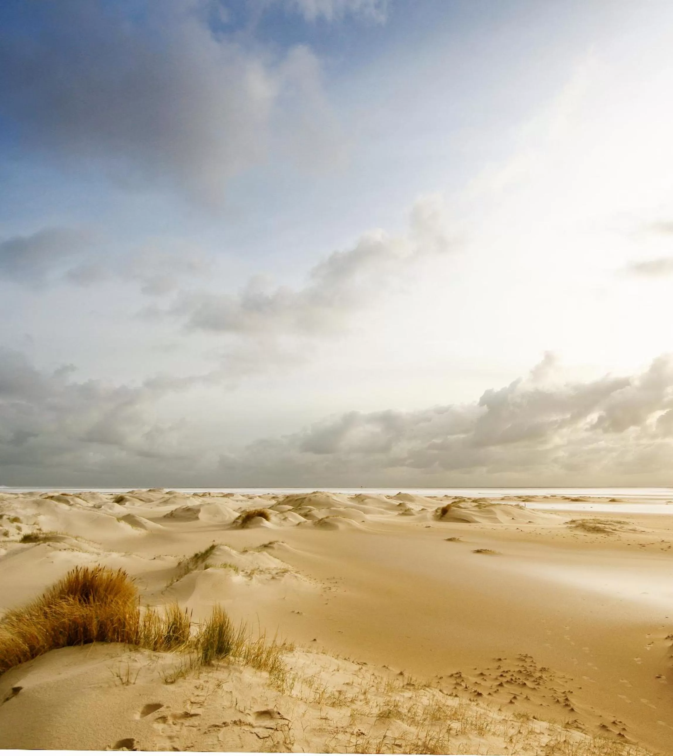 Natural landscape in B&B Vloedlijn Texel