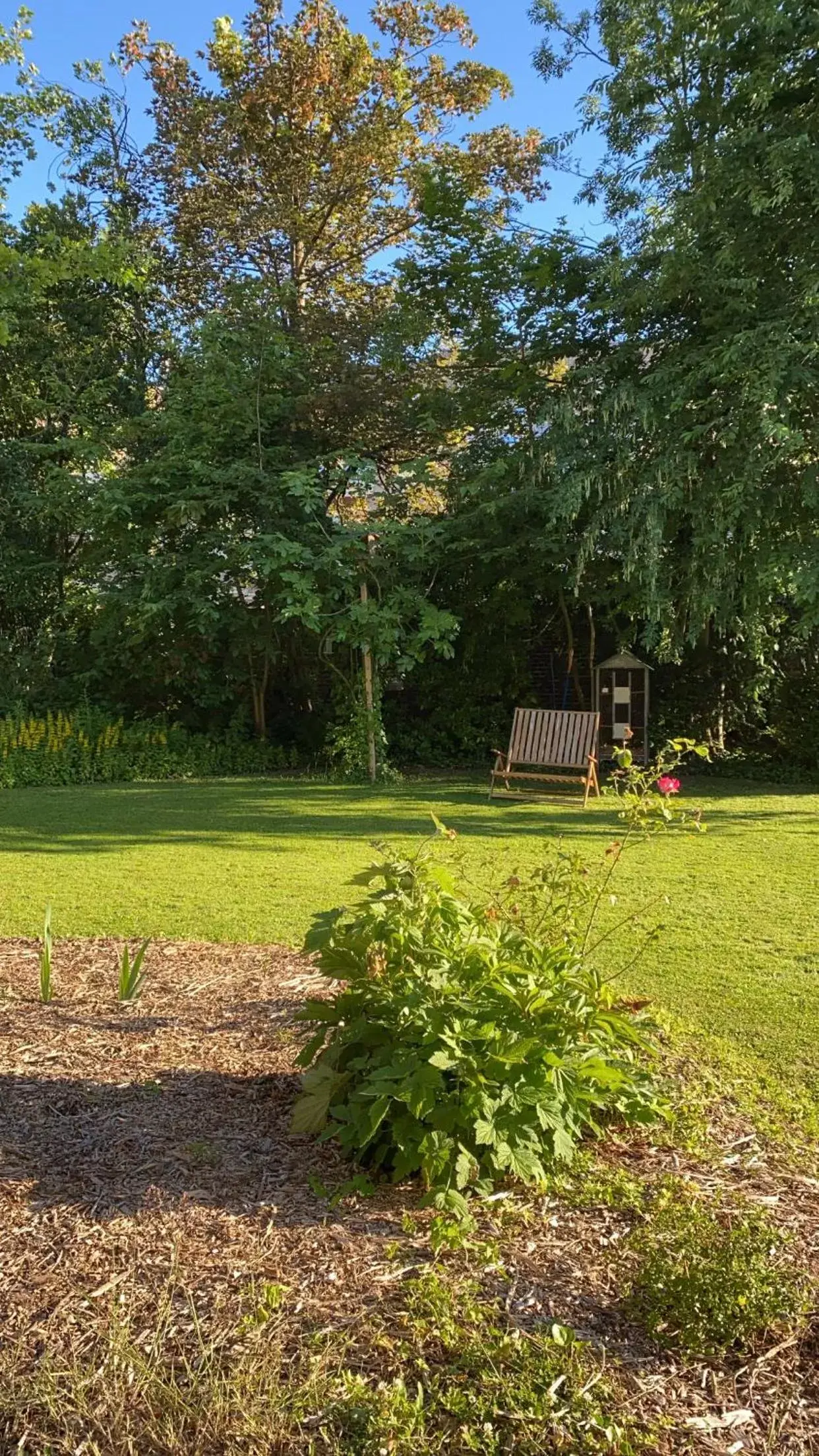 Garden in La Villa Barbieux