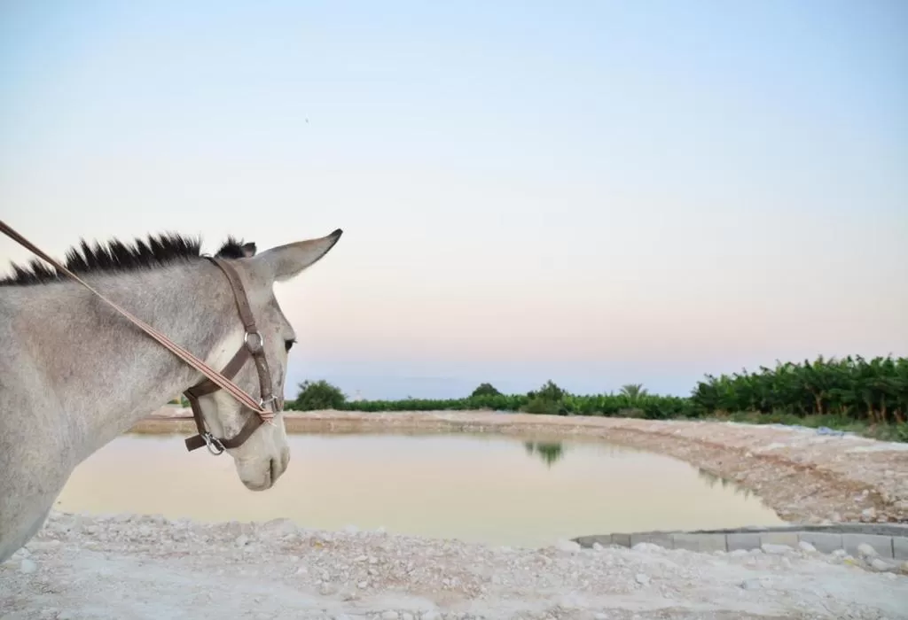 Natural landscape in Auberg-Inn Guesthouse