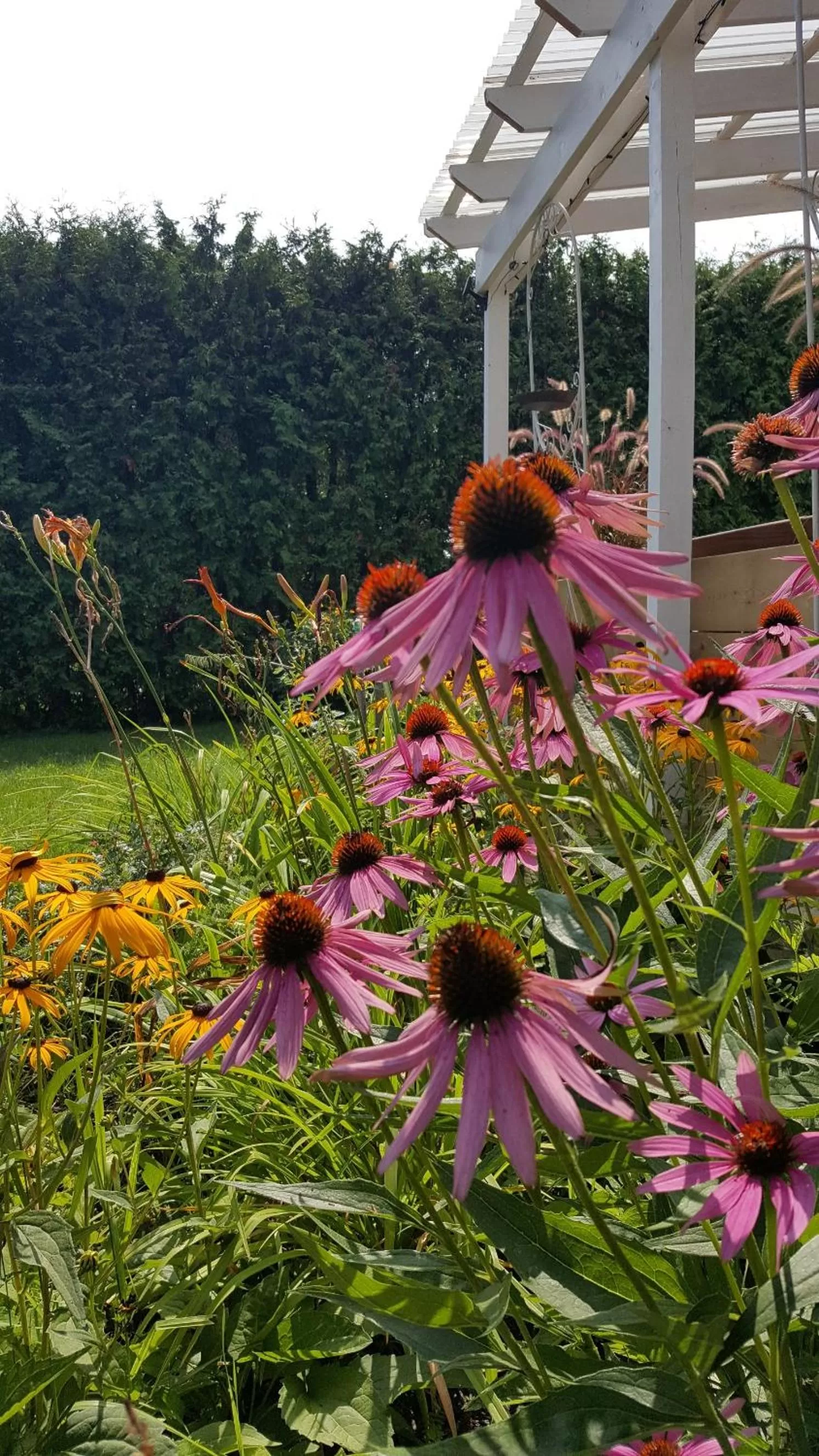 Atelier Galerie Anne Drouin Peinture & Pension