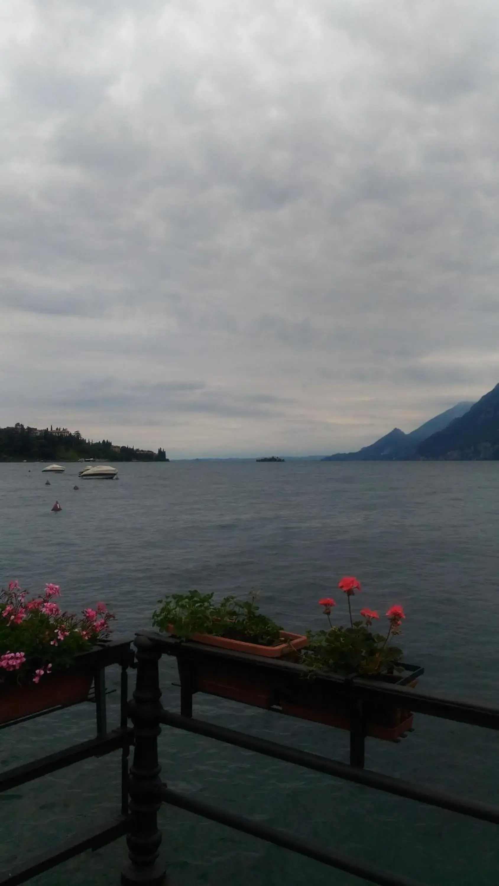 Lake view in Hotel Malcesine