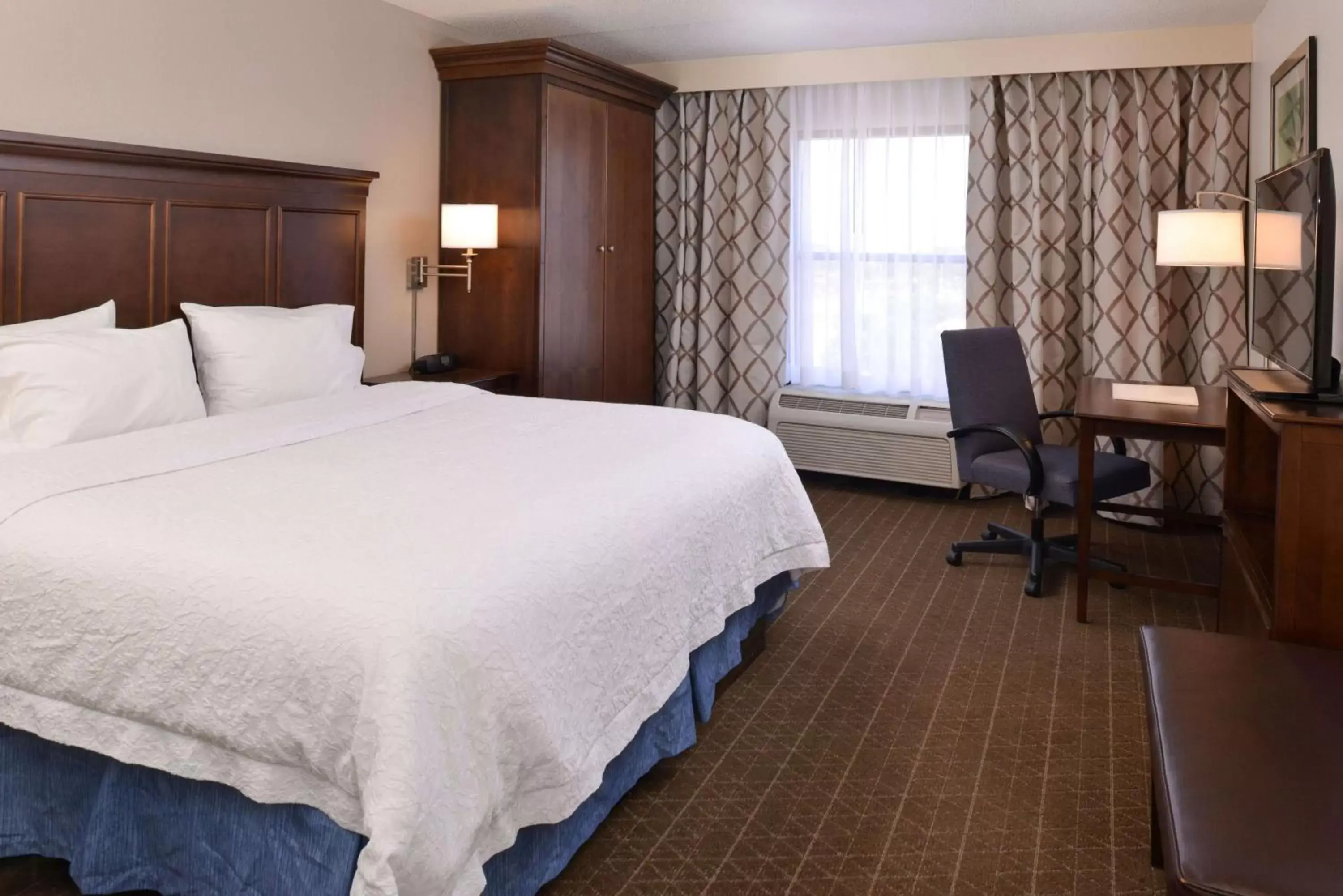 King Room with King Bed - Non-Smoking in Hampton Inn & Suites Pueblo-Southgate King Room with King Bed - Non-Smoking in Hampton Inn & Suites Pueblo-Southgate
