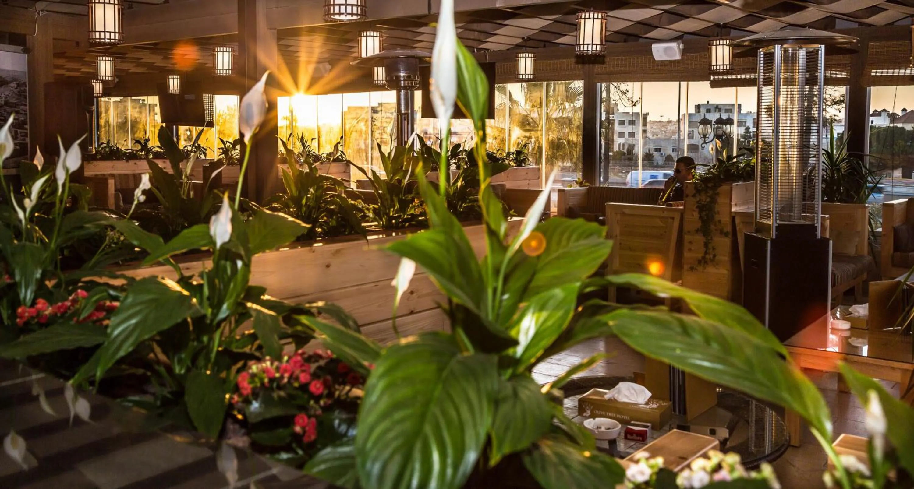 Patio in Olive Tree Amman