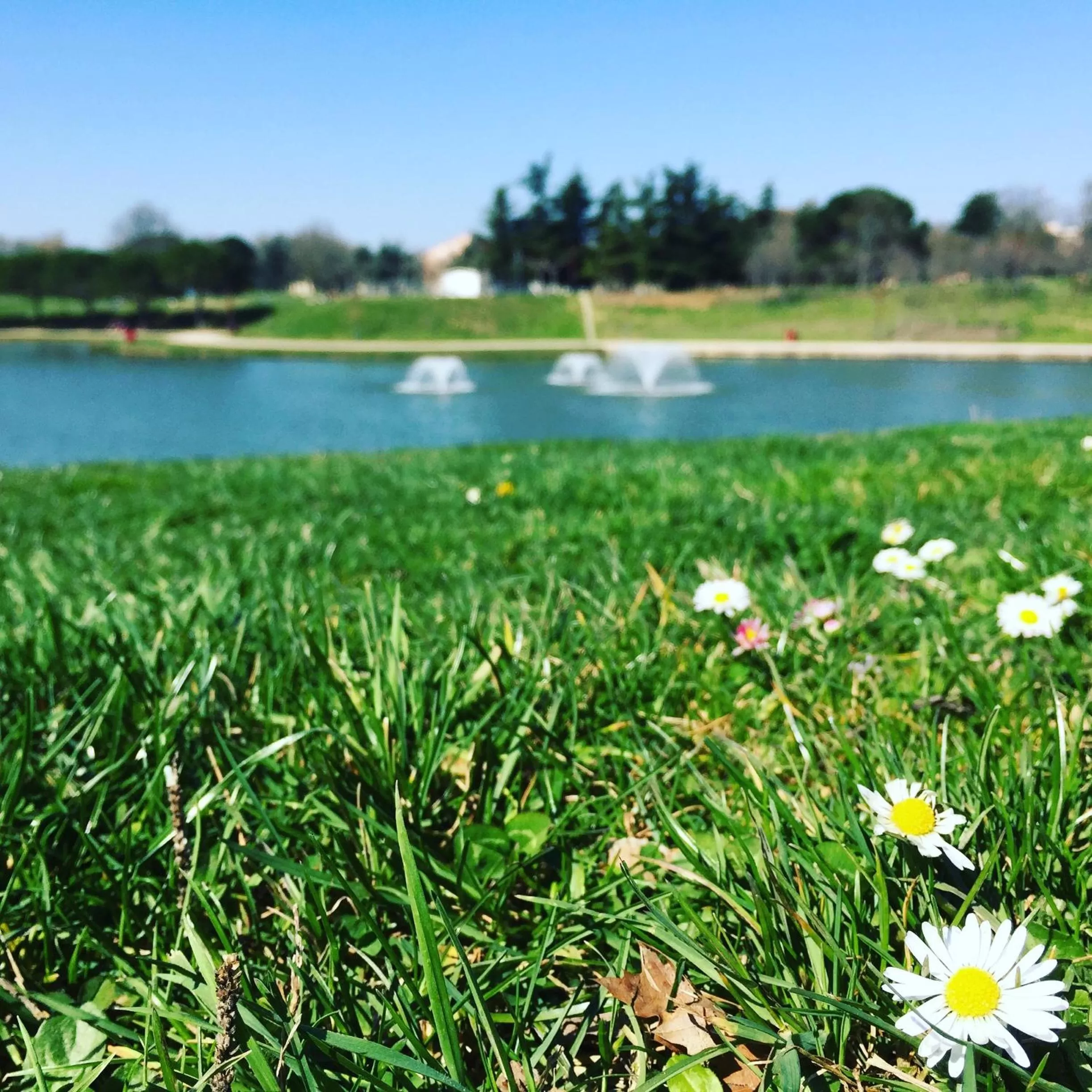 Neighbourhood in Radisson Blu Hotel Toulouse Airport