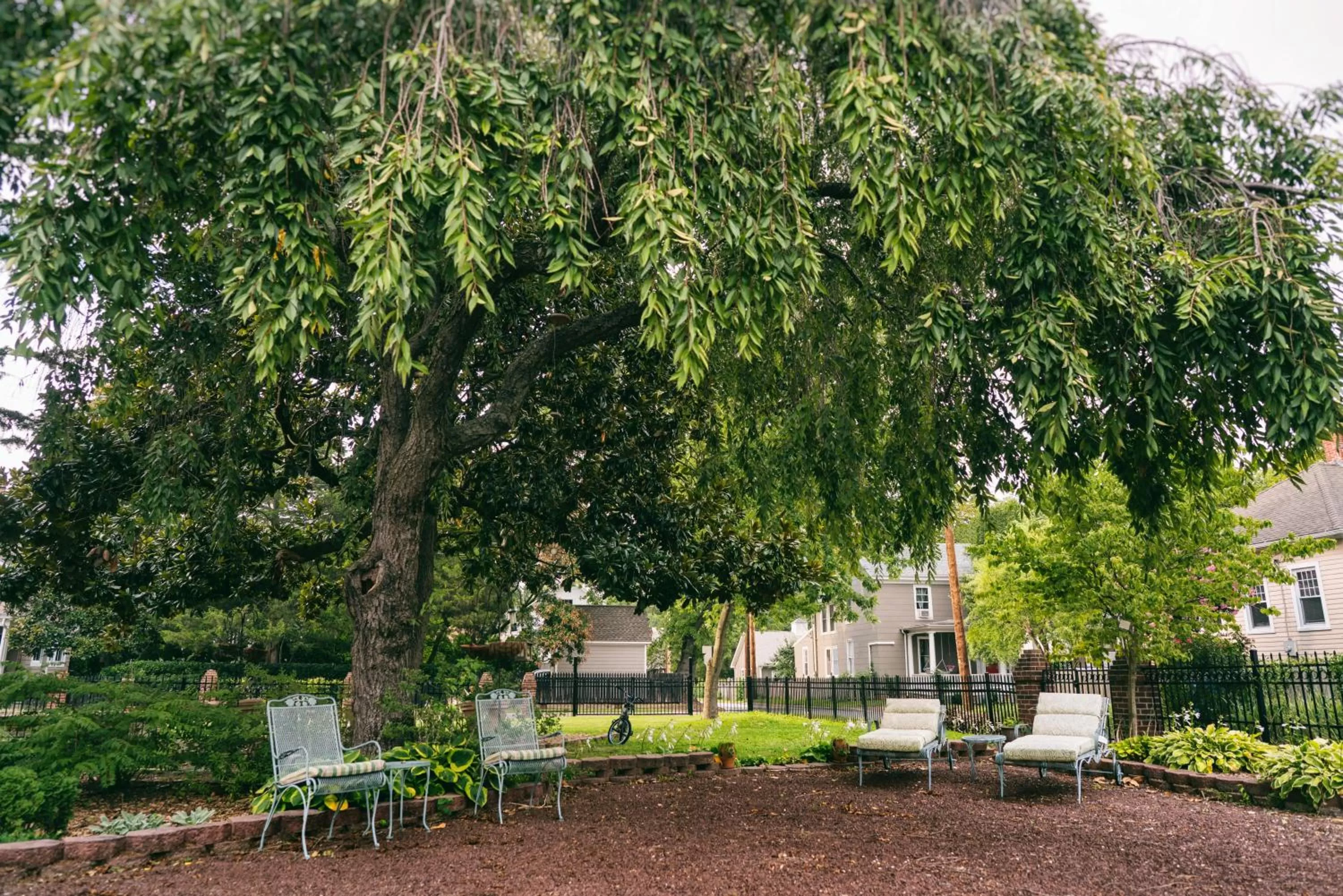 Garden in Hummingbird Inn
