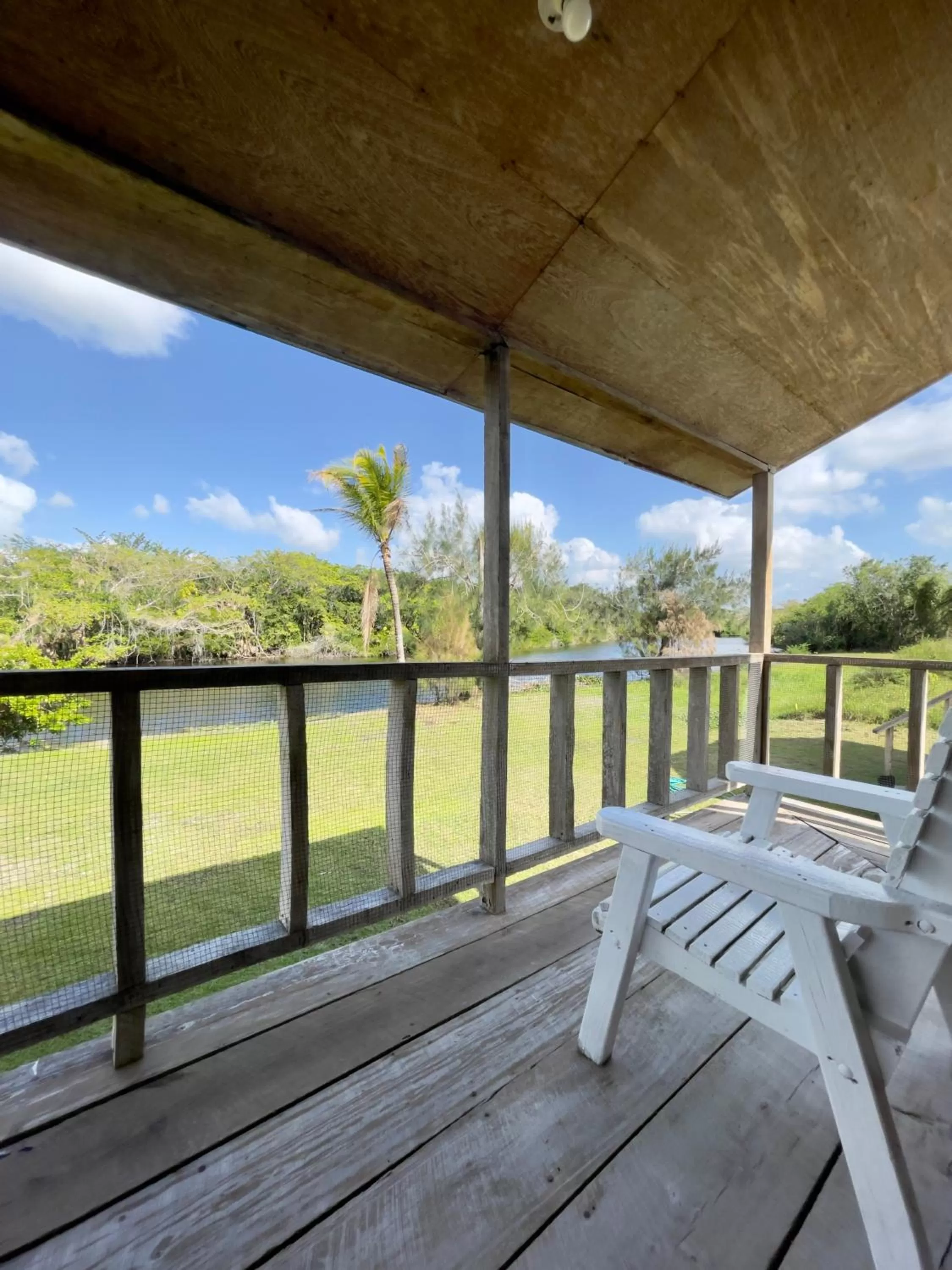 Garden in Lamanai Riverside Retreat
