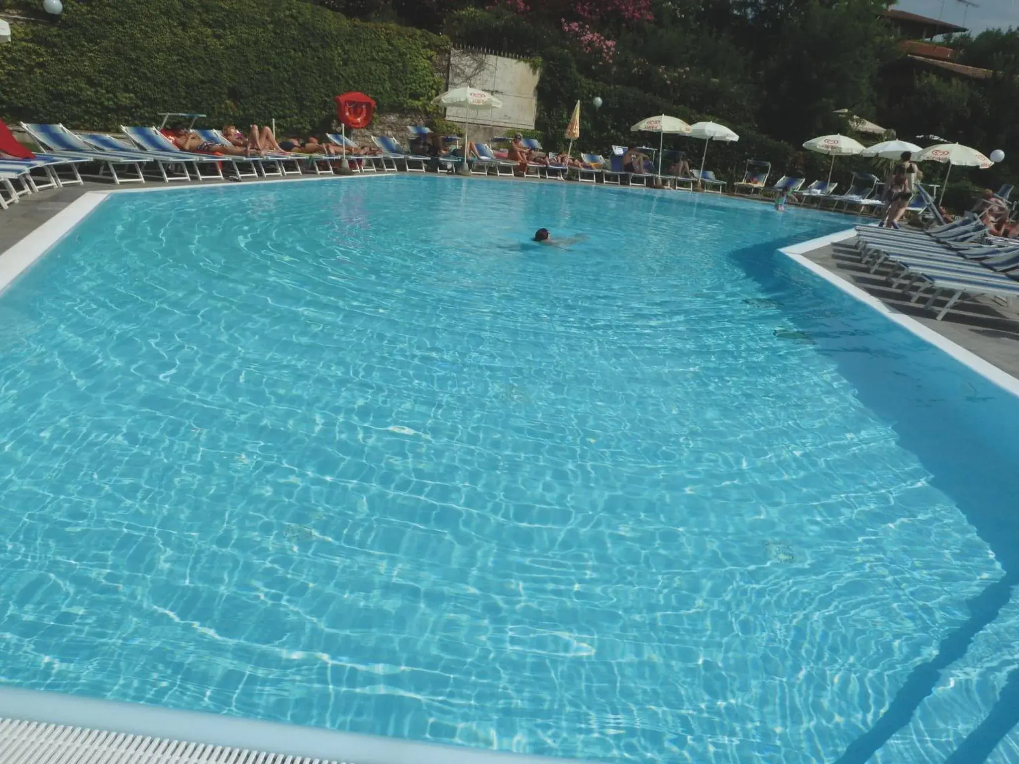 Day, Swimming Pool in Hotel Belvedere