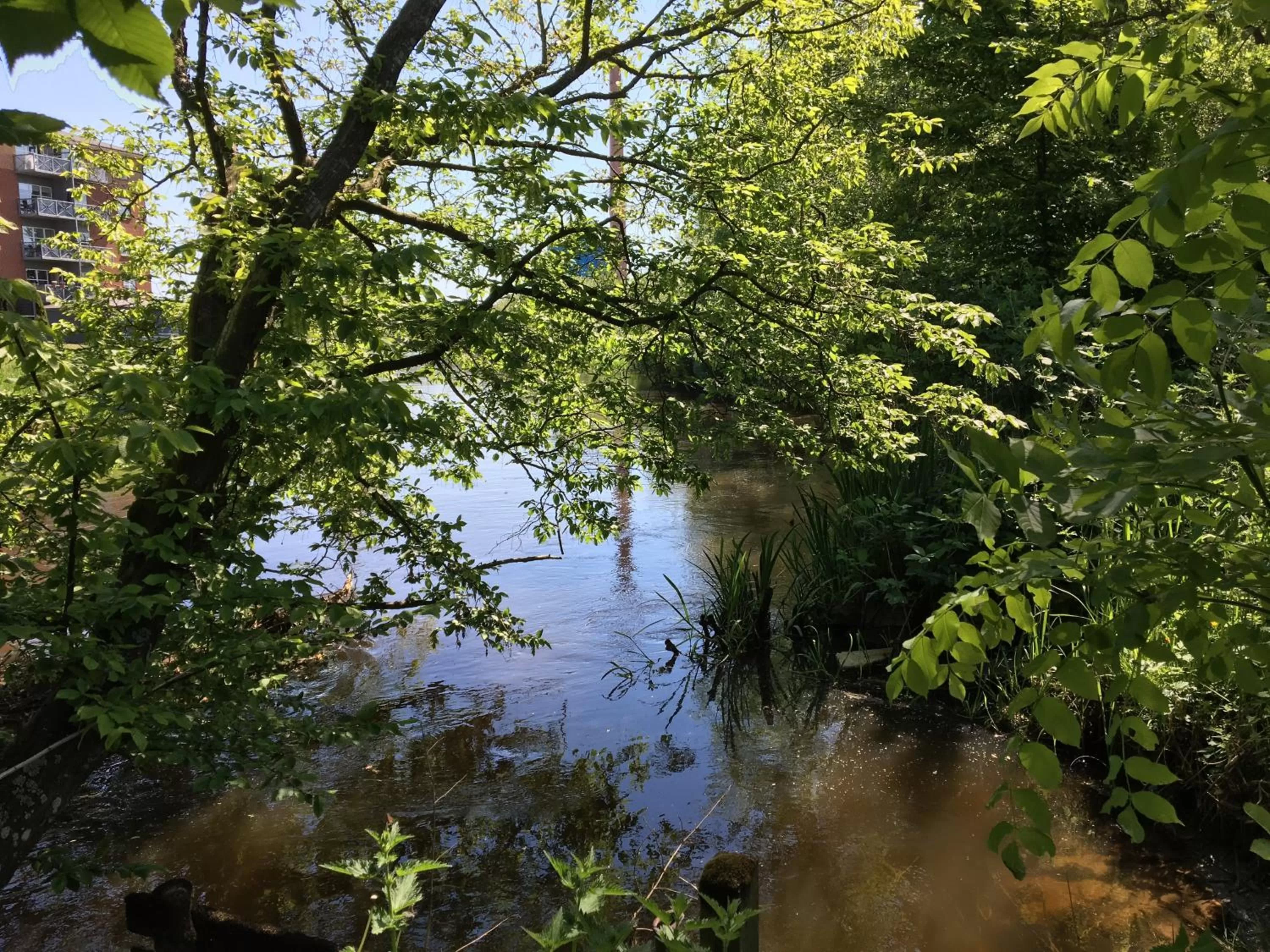 Natural landscape in Hotel Skivehus