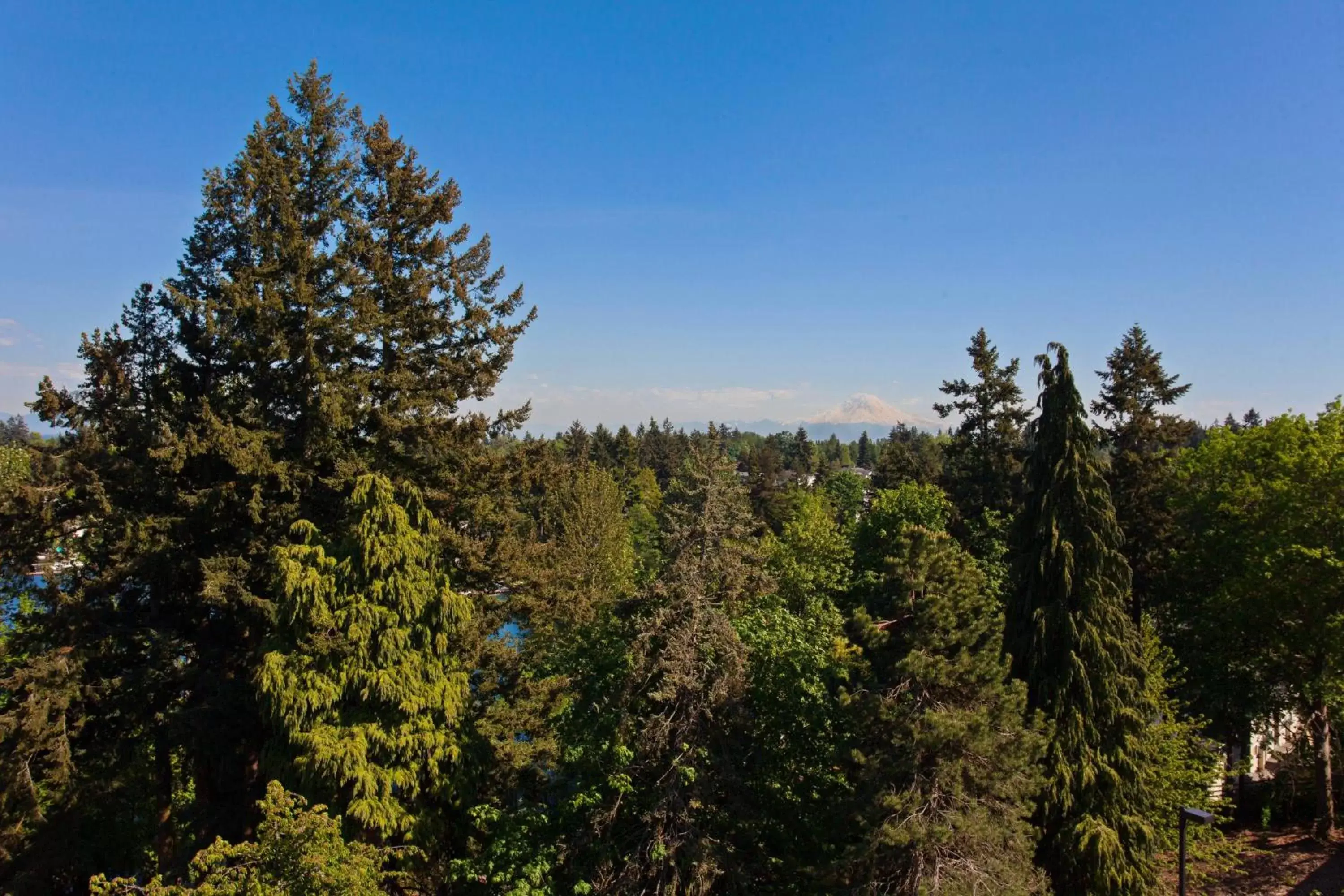 Other in Residence Inn by Marriott Seattle Sea-Tac Airport