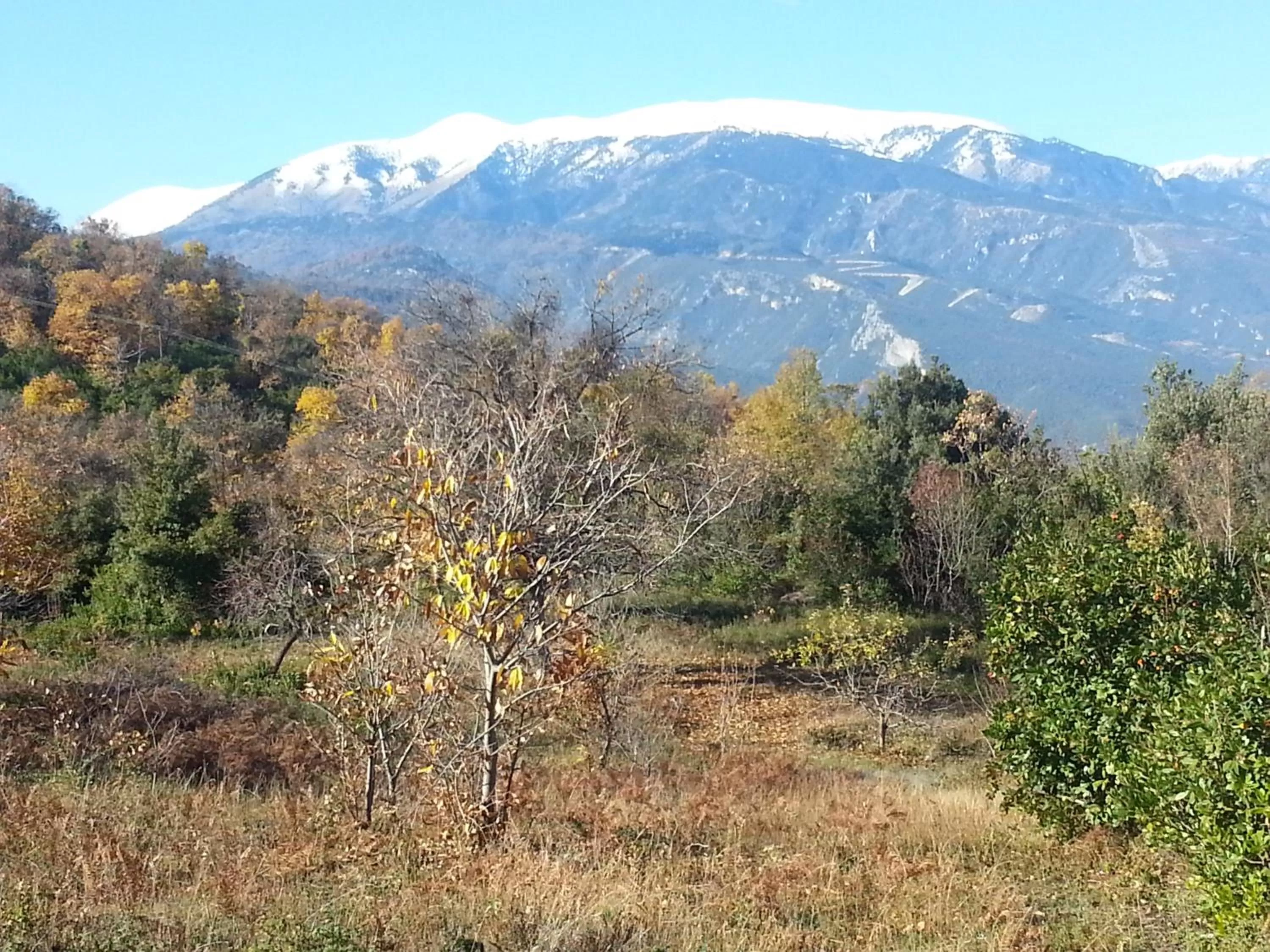 Activities in Alexandros Hotel