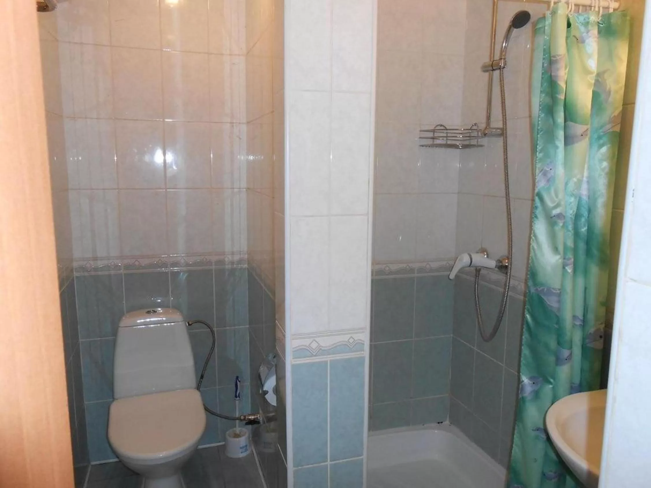 Toilet in Zhibek Zholy Hotel