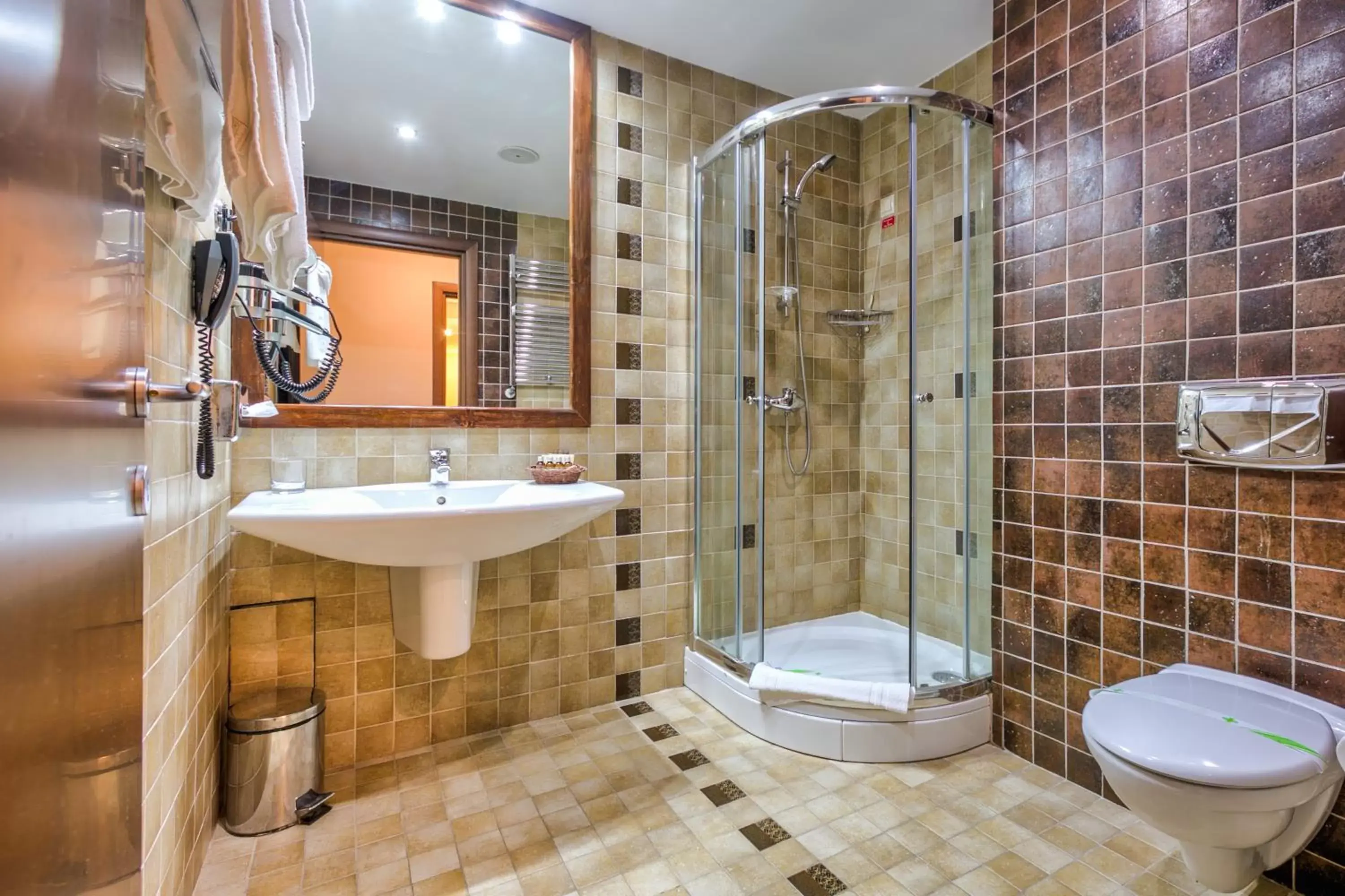 Shower, Bathroom in Alpin Resort Hotel