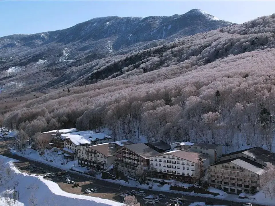 Property building, Bird's-eye View in Chalet Shiga