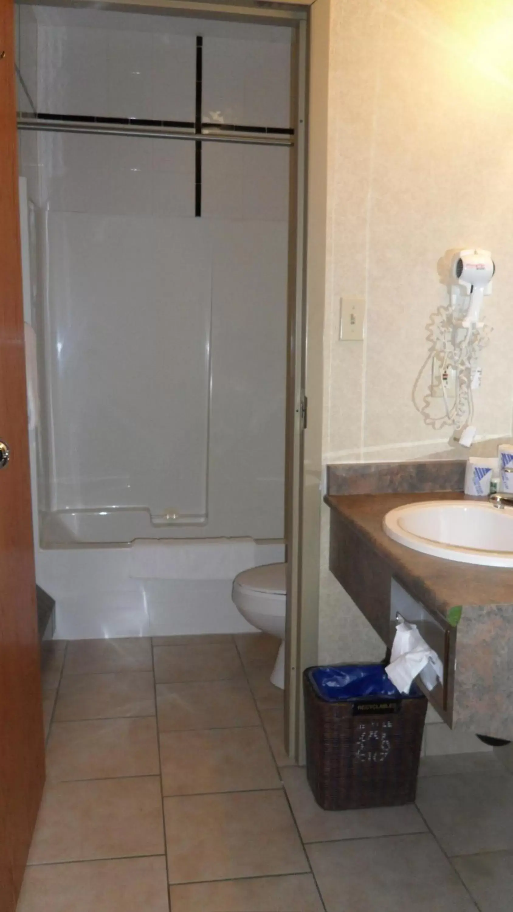 Bathroom in Lakeview Inns & Suites - Hinton